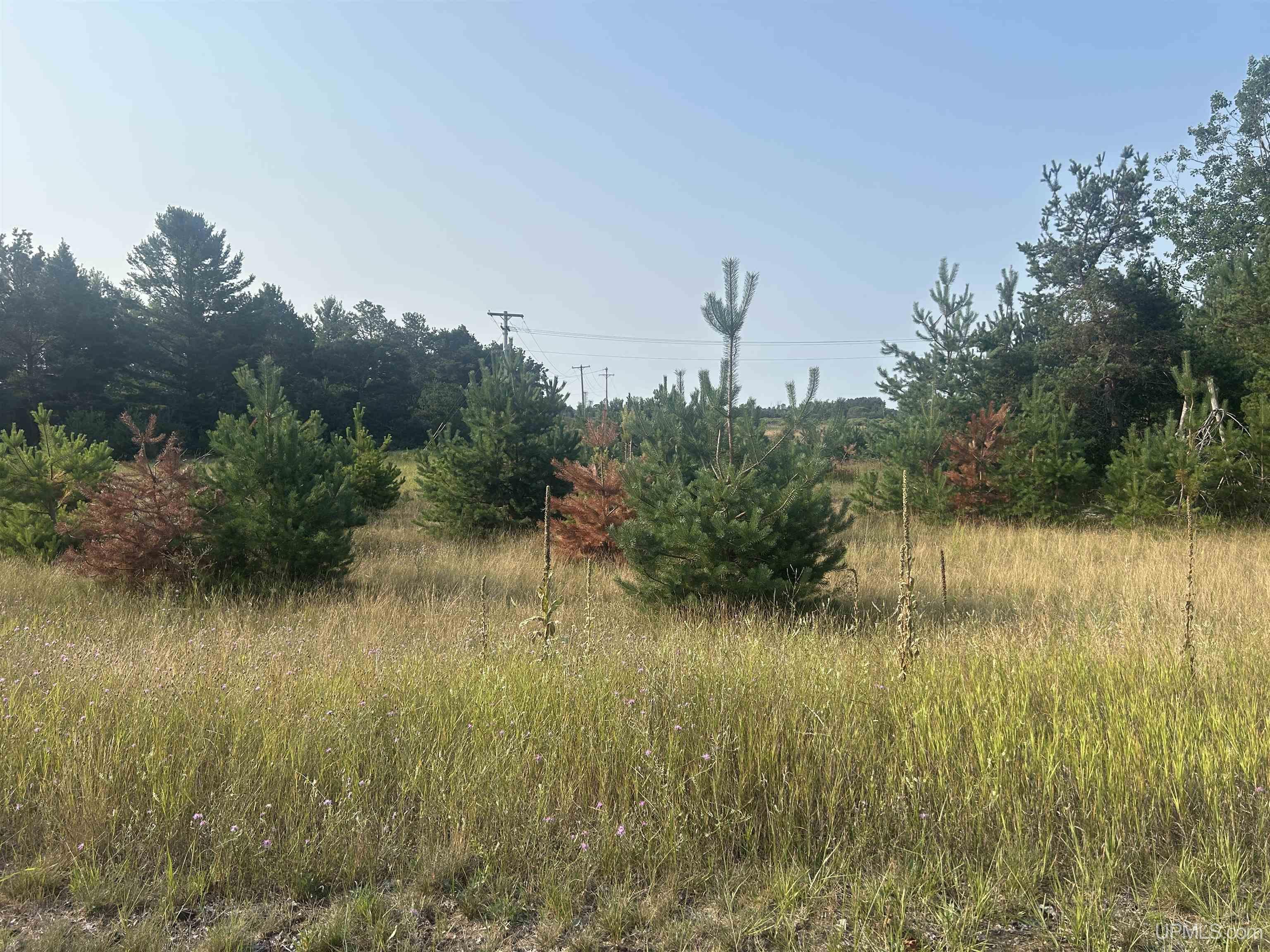 4th image of 1600 S Lincoln Rd, Escanaba, MI 49829 | MLS# 50217963