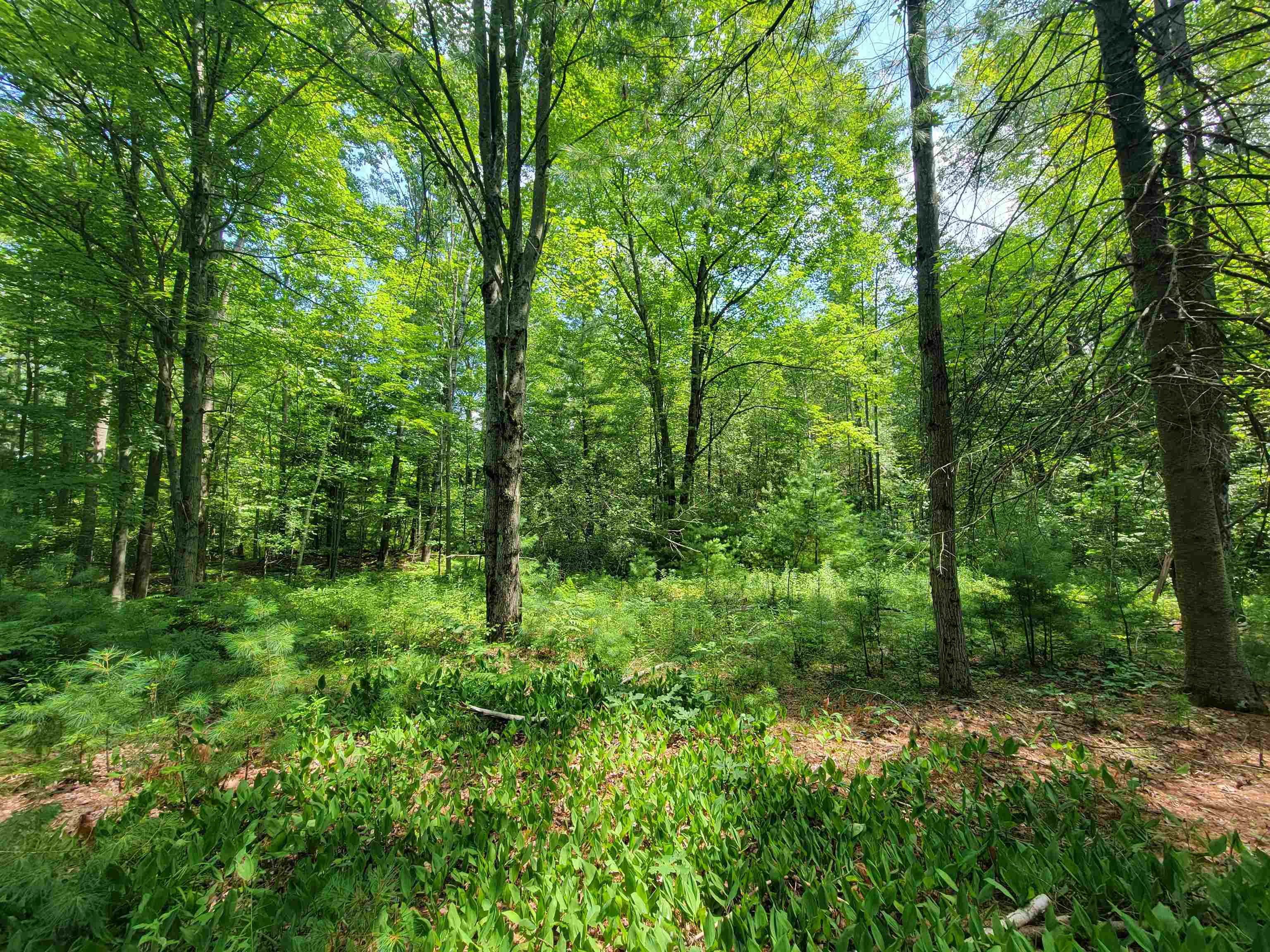 1st image of Vl Whitney Rd, Beaverton, MI 48612 | MLS# 50218097