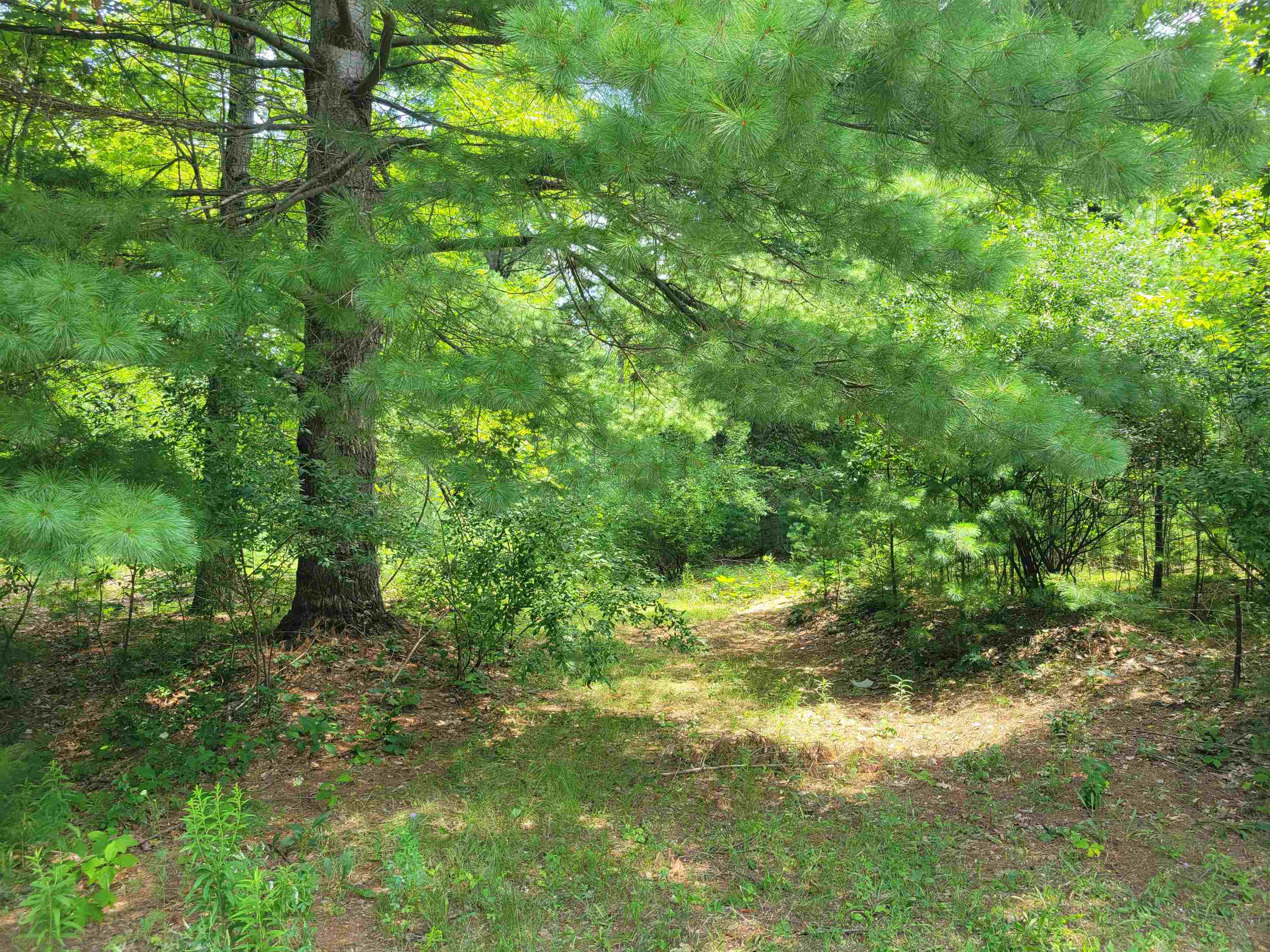 2nd image of Vl Whitney Rd, Beaverton, MI 48612 | MLS# 50218097