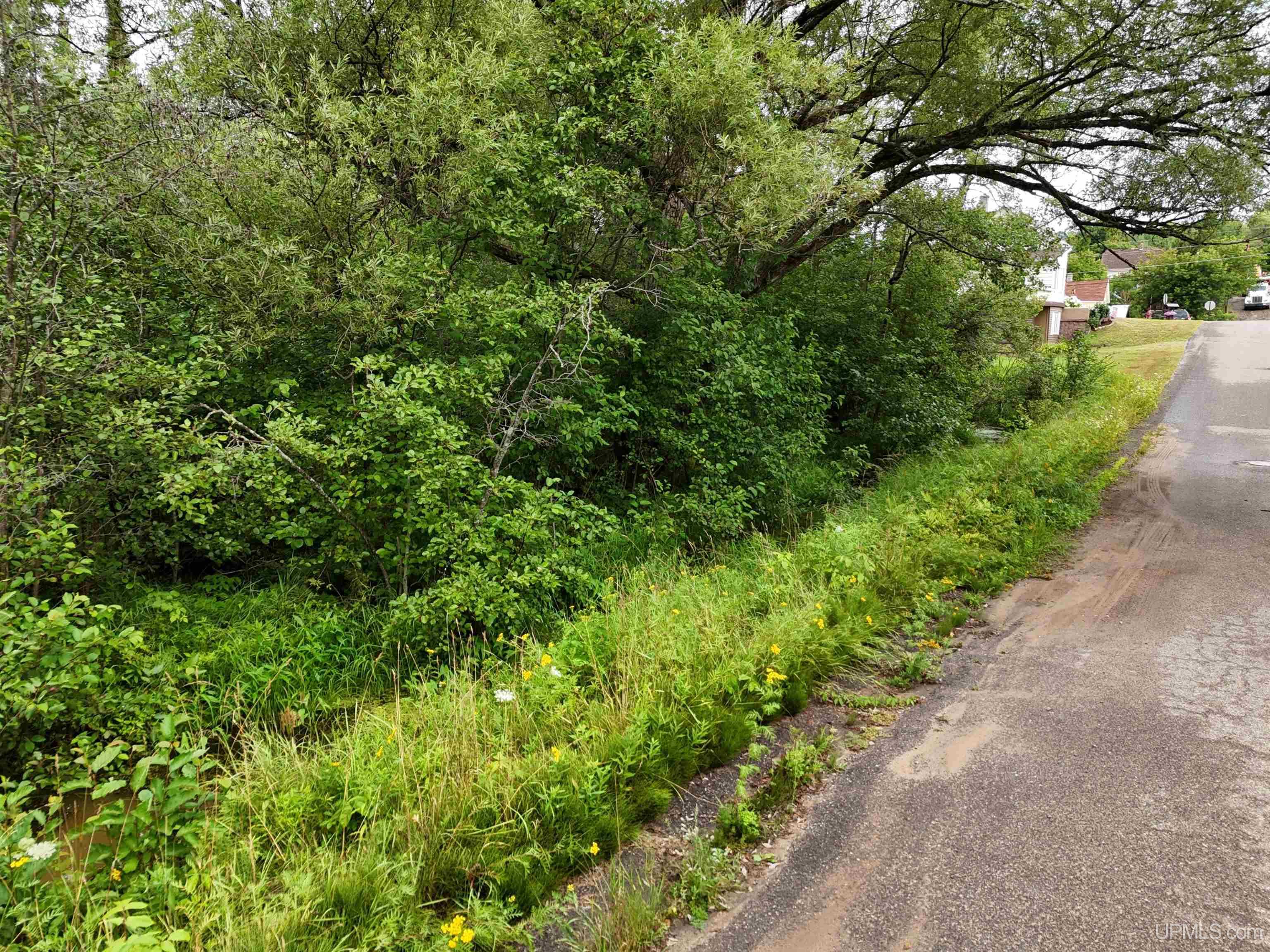 TBD 2nd Street, Republic MI 49879, 50218107