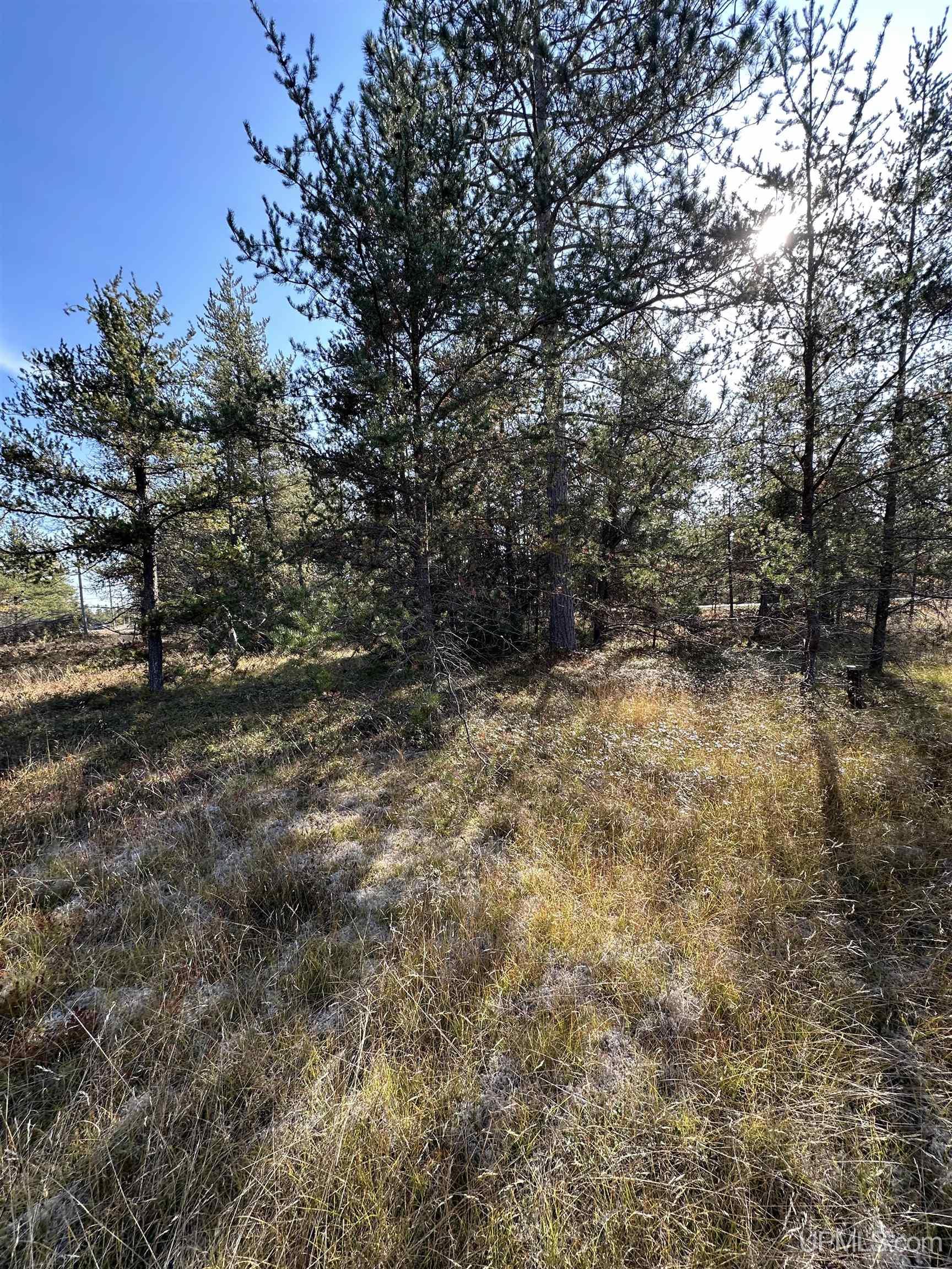 3rd image of 110 N Marshall Dr, Gwinn, MI 49841 | MLS# 50218127