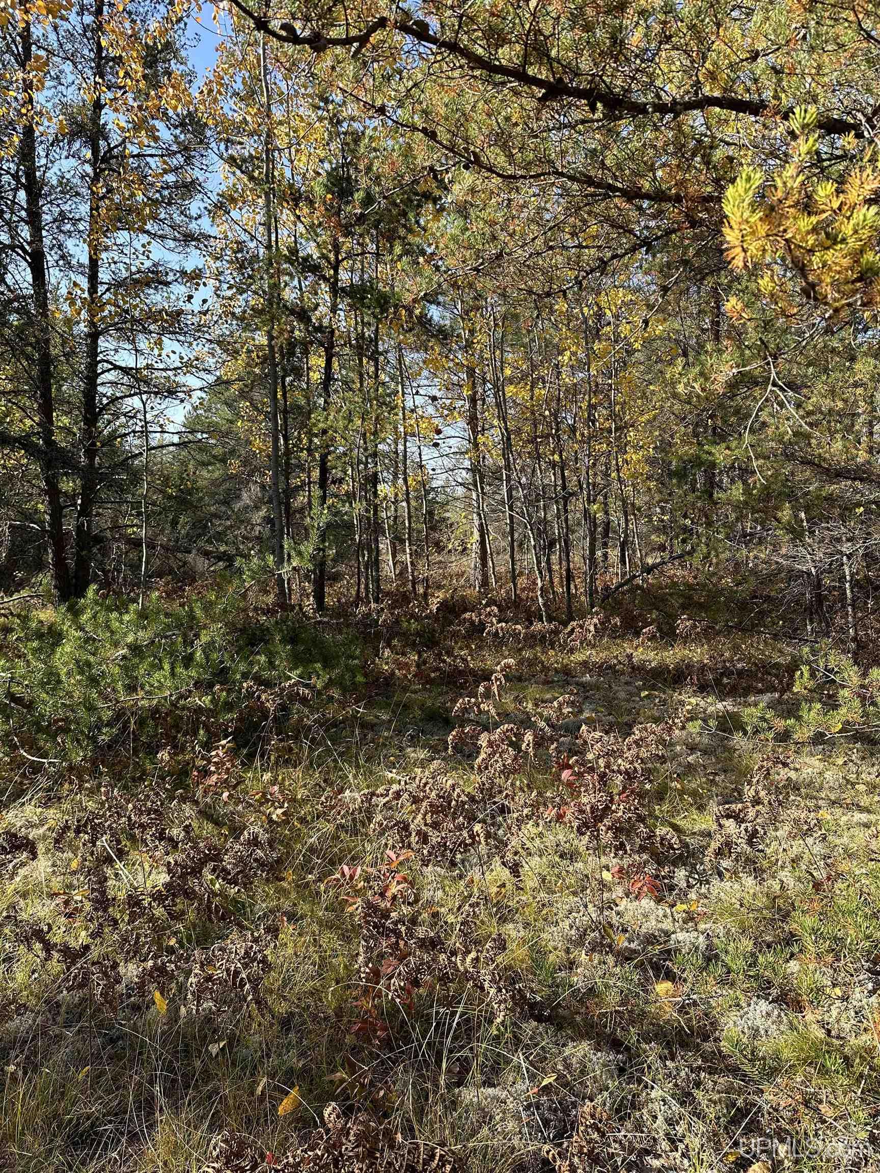 5th image of 110 N Marshall Dr, Gwinn, MI 49841 | MLS# 50218127
