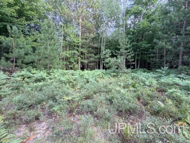 Photo 3 of Land for sale at 916 Silver Crk Rd, Marquette, MI 49855 | MLS# 50218146 | Listing updated on 2026-09-21