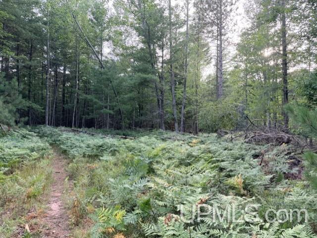 Photo 4 of Land for sale at 916 Silver Crk Rd, Marquette, MI 49855 | MLS# 50218146 | Listing updated on 2026-09-21