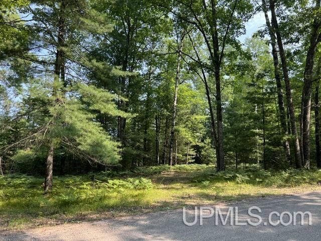 2nd image of 124 Acres Steffen Ln, Pembine, WI 54156 | MLS# 50218162