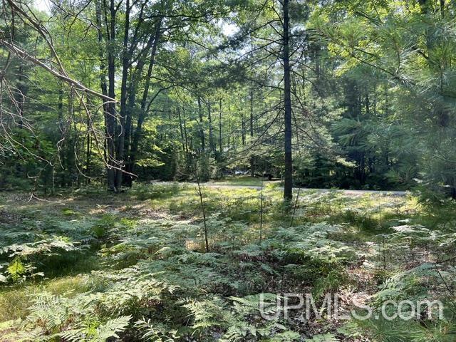 8th image of 124 Acres Steffen Ln, Pembine, WI 54156 | MLS# 50218162