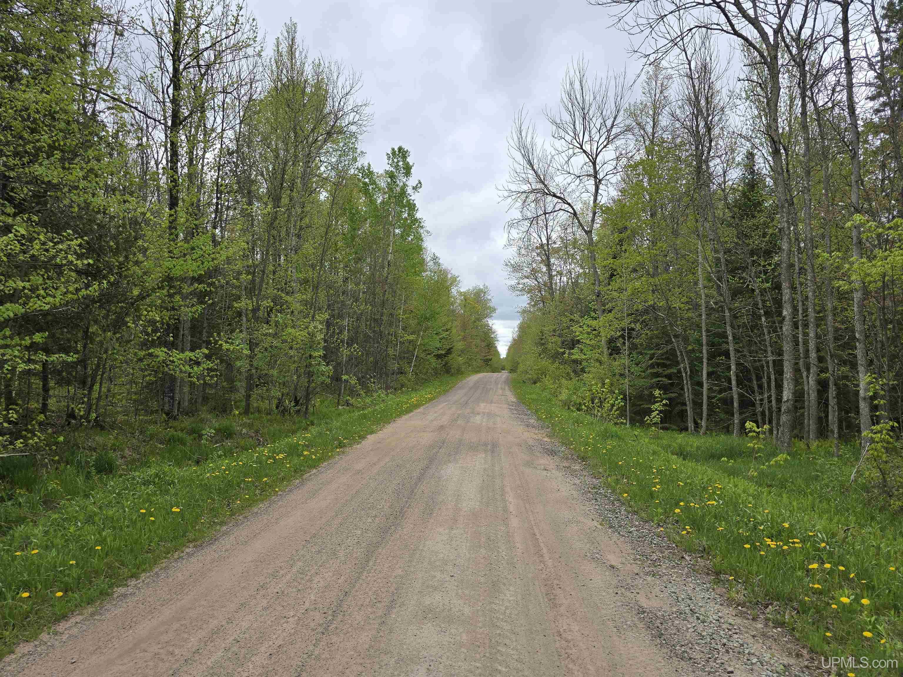 3rd image of Tbd Lot 37 Yellow Rd, Nisula, MI 49952 | MLS# 50218223