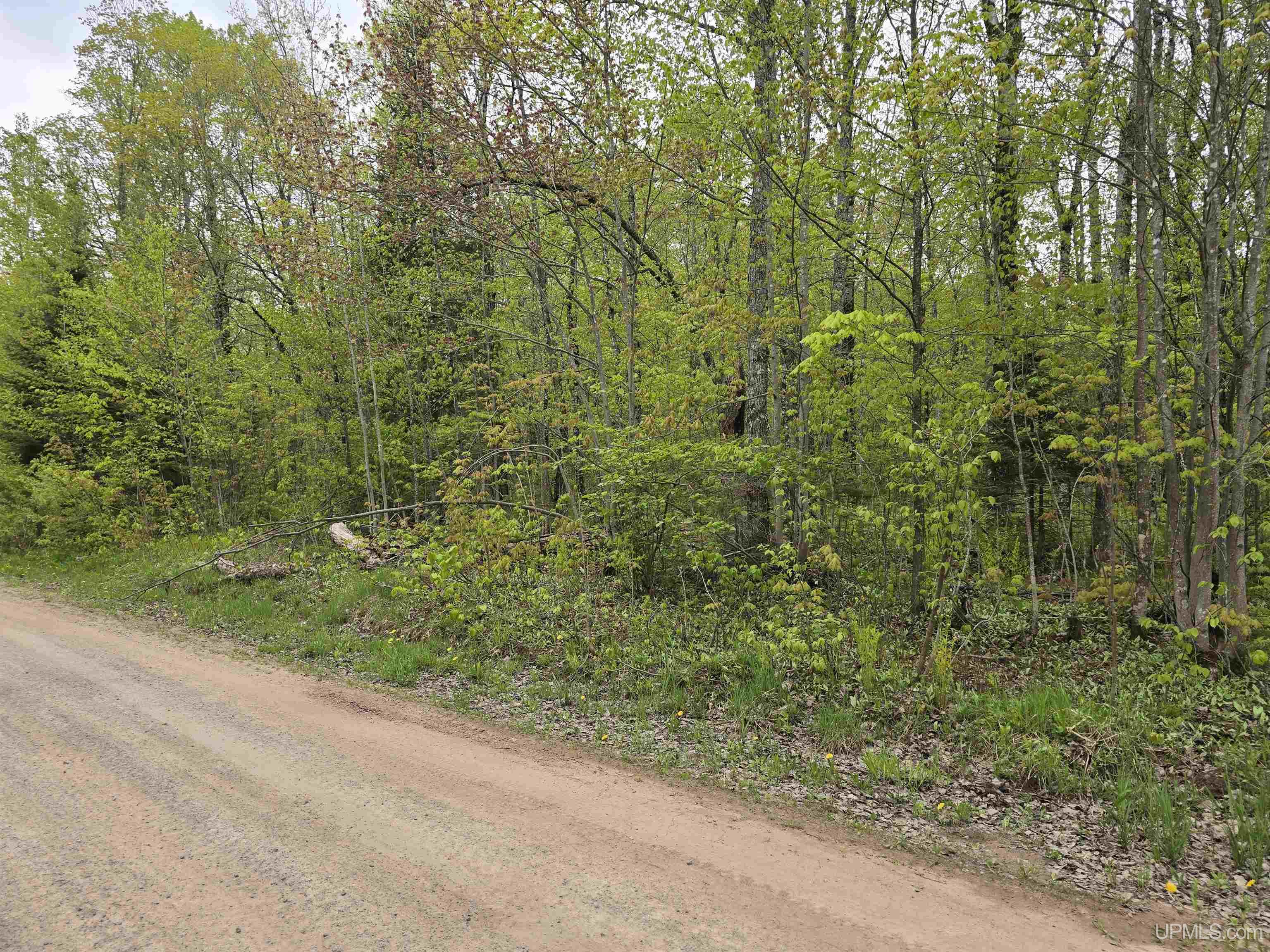 4th image of Tbd Lot 37 Yellow Rd, Nisula, MI 49952 | MLS# 50218223