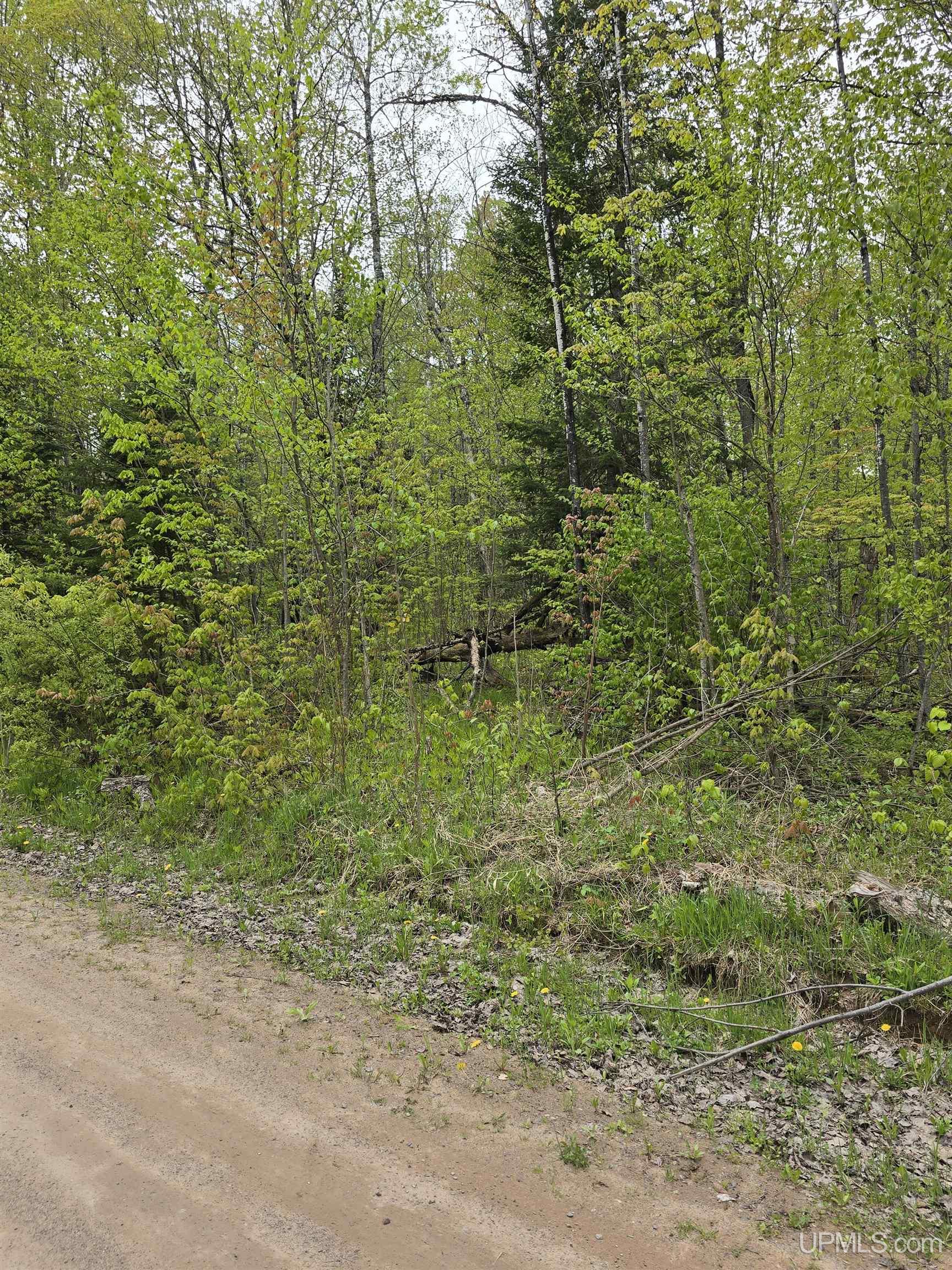 38th image of Tbd Lot 37 Yellow Rd, Nisula, MI 49952 | MLS# 50218223