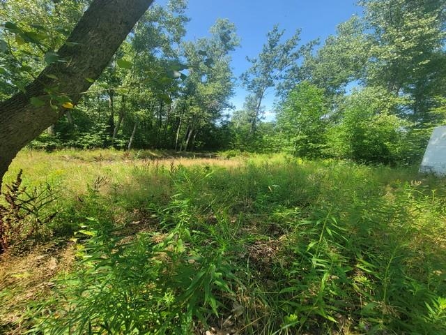 2nd image of 2615 Schaffer Rd, Turner, MI 48765 | MLS# 50218236