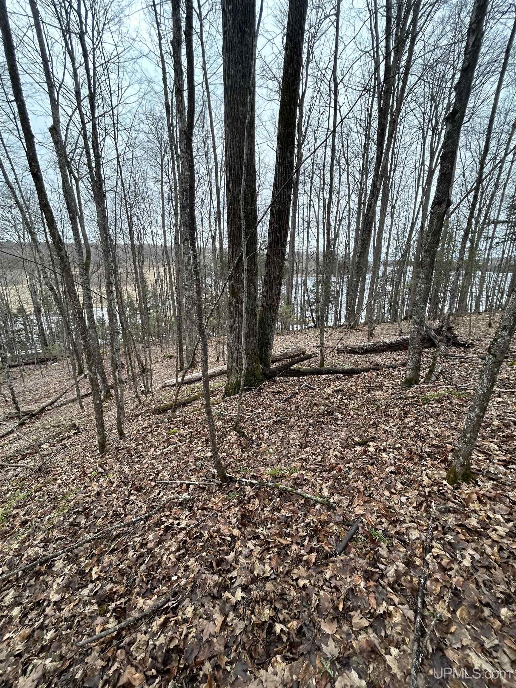 87th image of 1322 W Northwoods Ln, Hardwood, MI 49834 | MLS# 50218302
