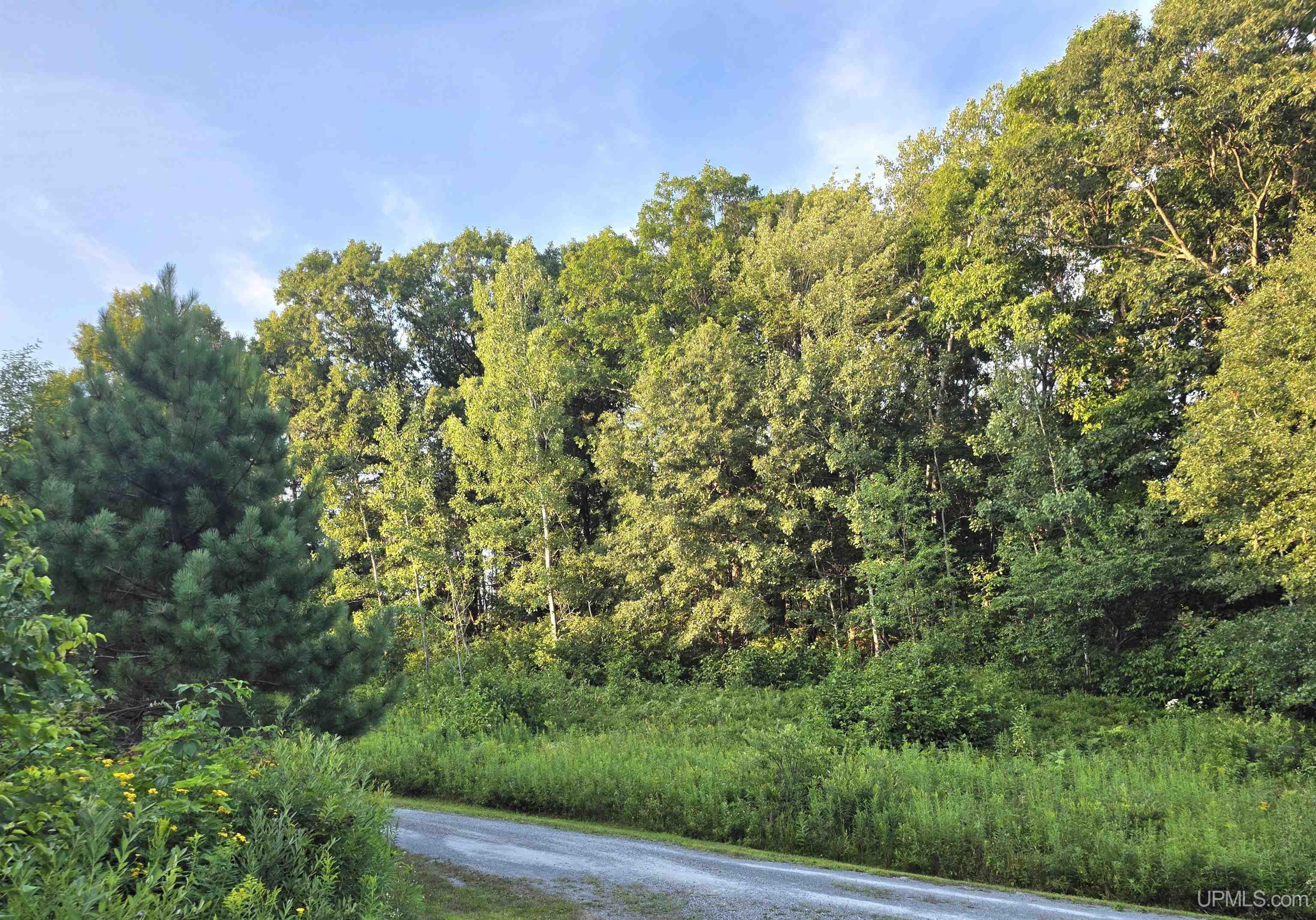 2nd image of 1271 Menominee River Rd, Florence, WI 54121 | MLS# 50218460