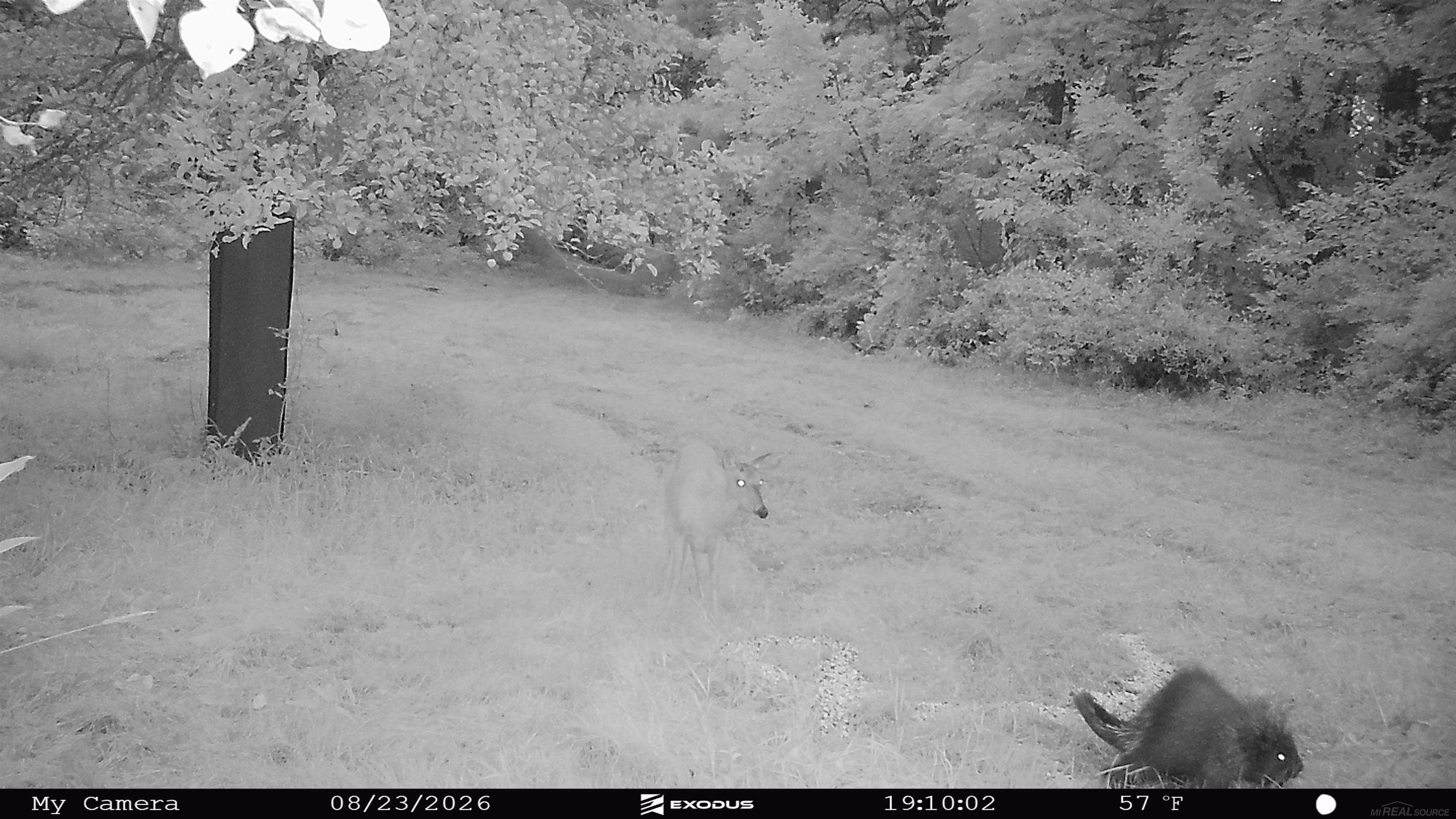 79th image of Xxx Emig Rd, Comins, MI 48619 | MLS# 50218570