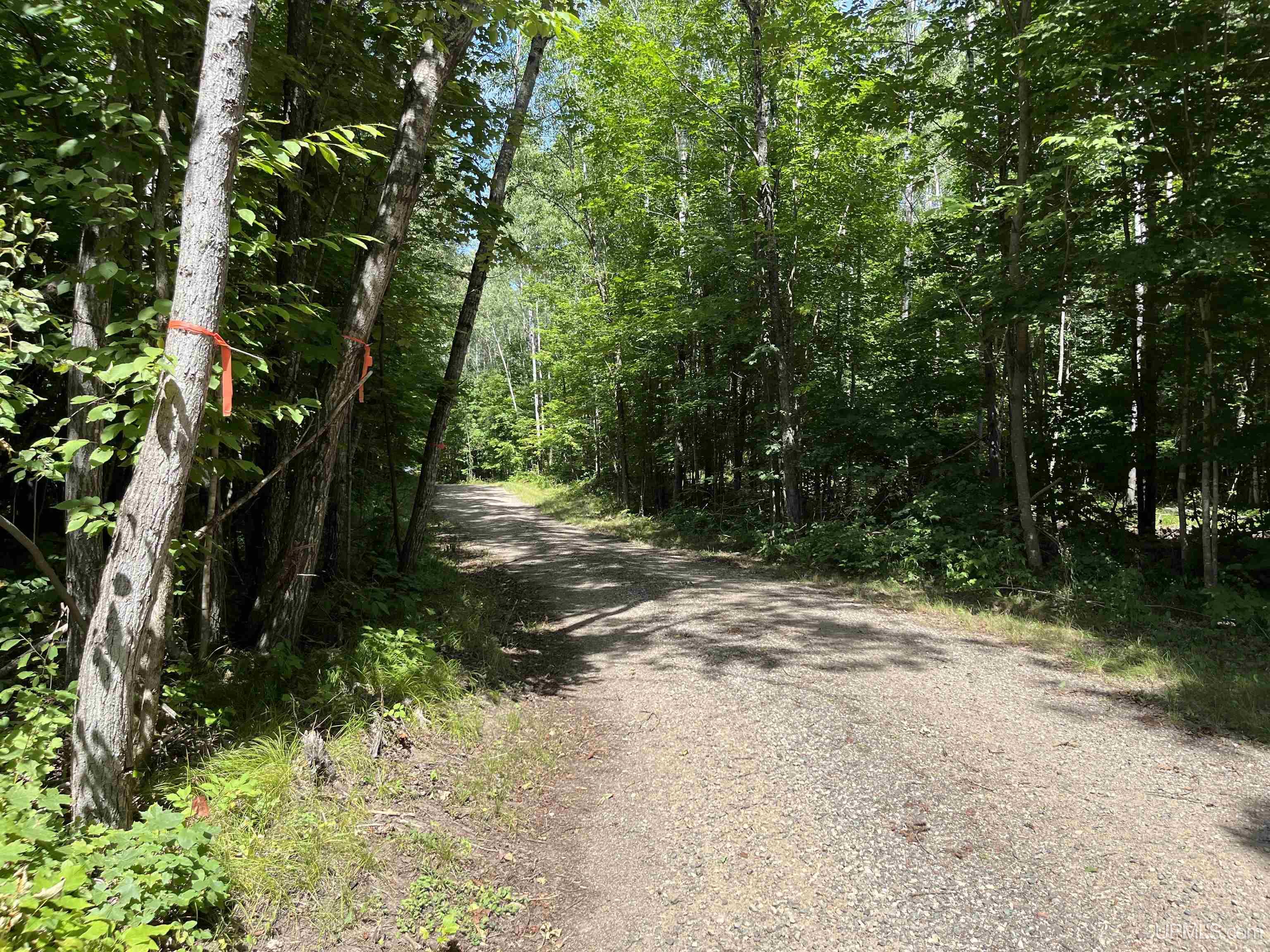 2nd image of Lot 2 Mulberry Ln, Florence, WI 54121 | MLS# 50218601