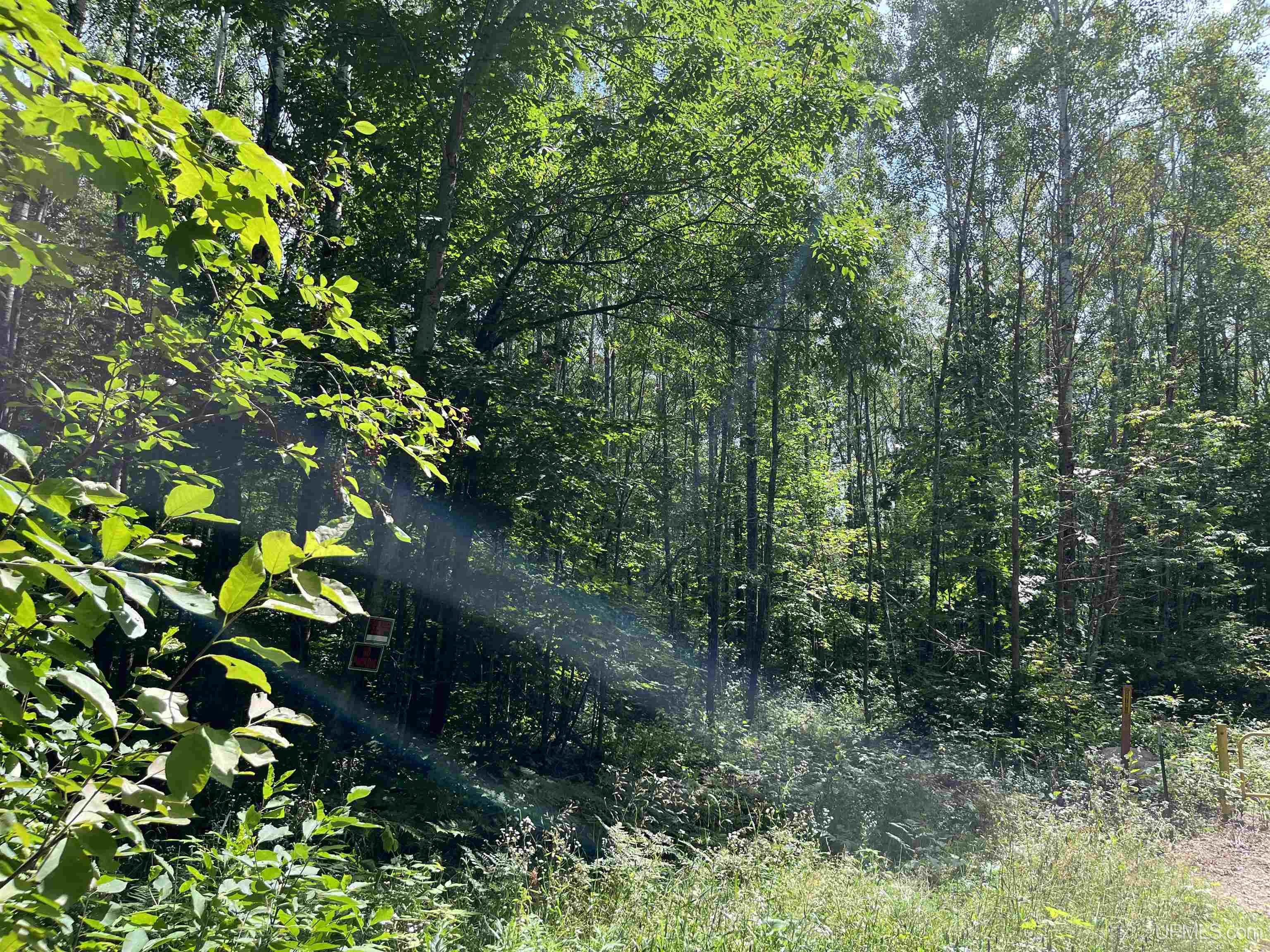 4th image of Lot 2 Mulberry Ln, Florence, WI 54121 | MLS# 50218601