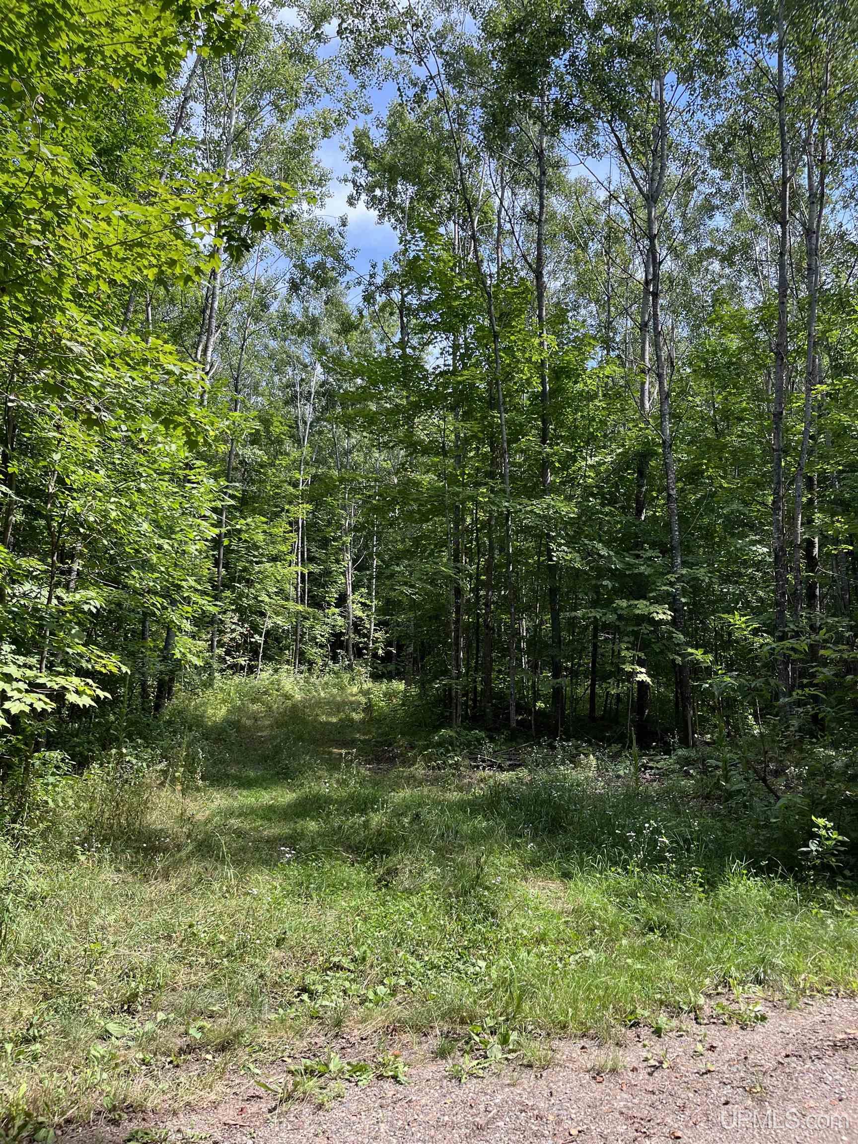 2nd image of Lot 3 Mulberry Ln, Florence, WI 54121 | MLS# 50218602