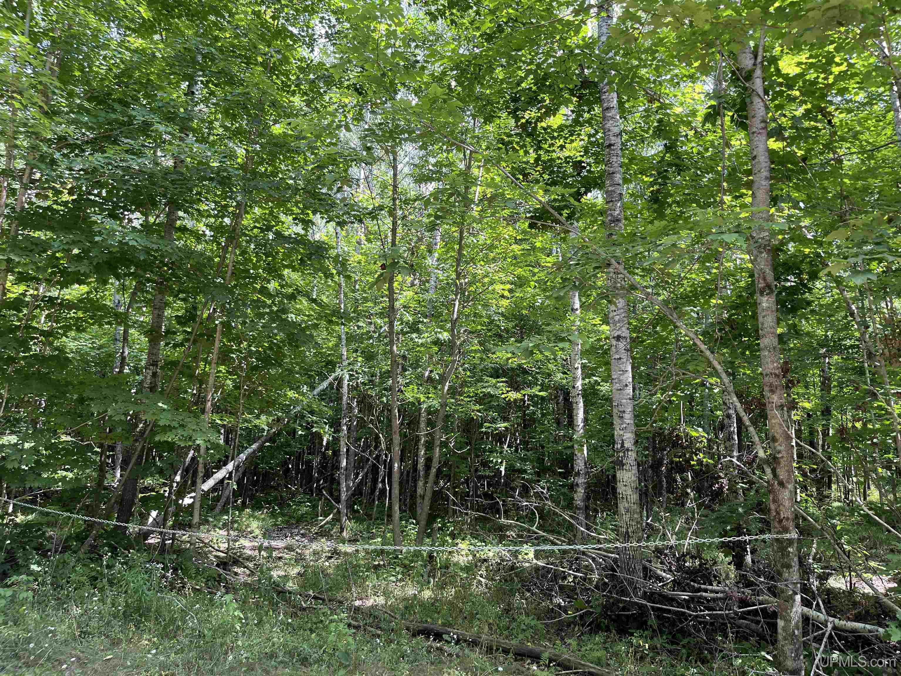 1st image of Lot 4 Mulberry Ln, Florence, WI 54121 | MLS# 50218603
