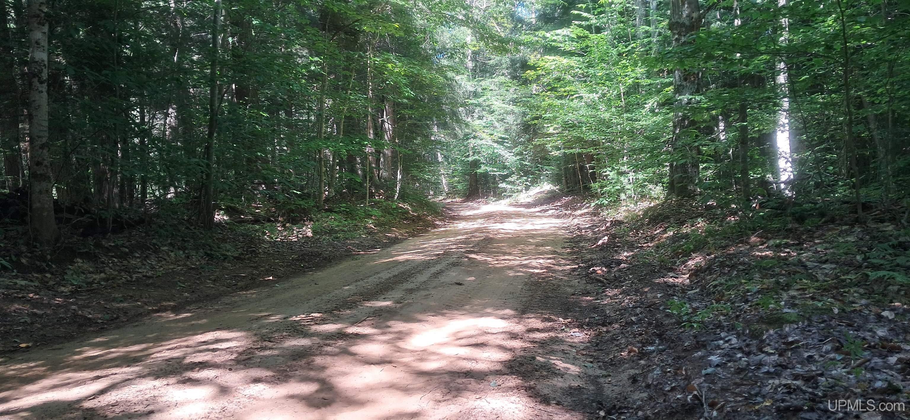 3rd image of 1807 Acres On Cals Dr, Manistique, MI 49854 | MLS# 50218616