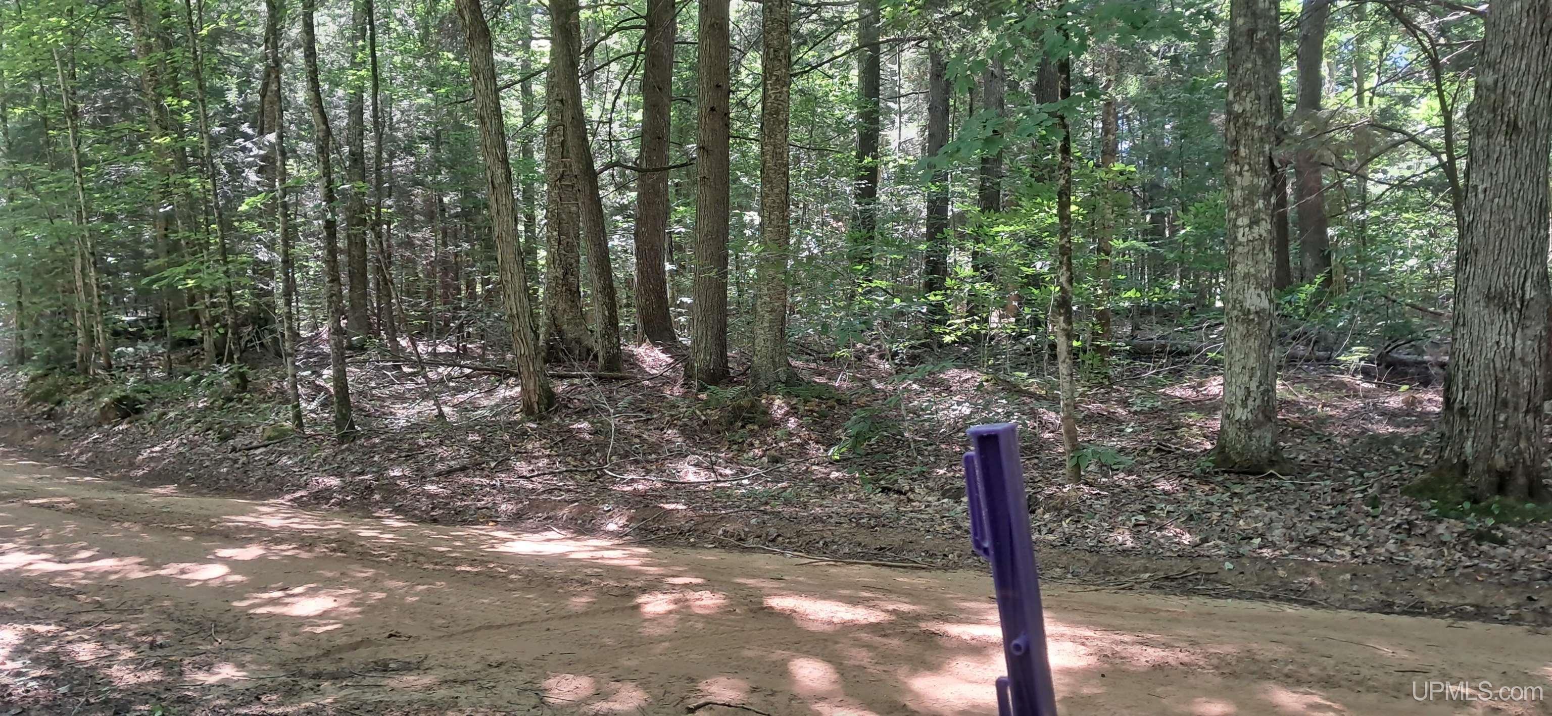 5th image of 1807 Acres On Cals Dr, Manistique, MI 49854 | MLS# 50218616