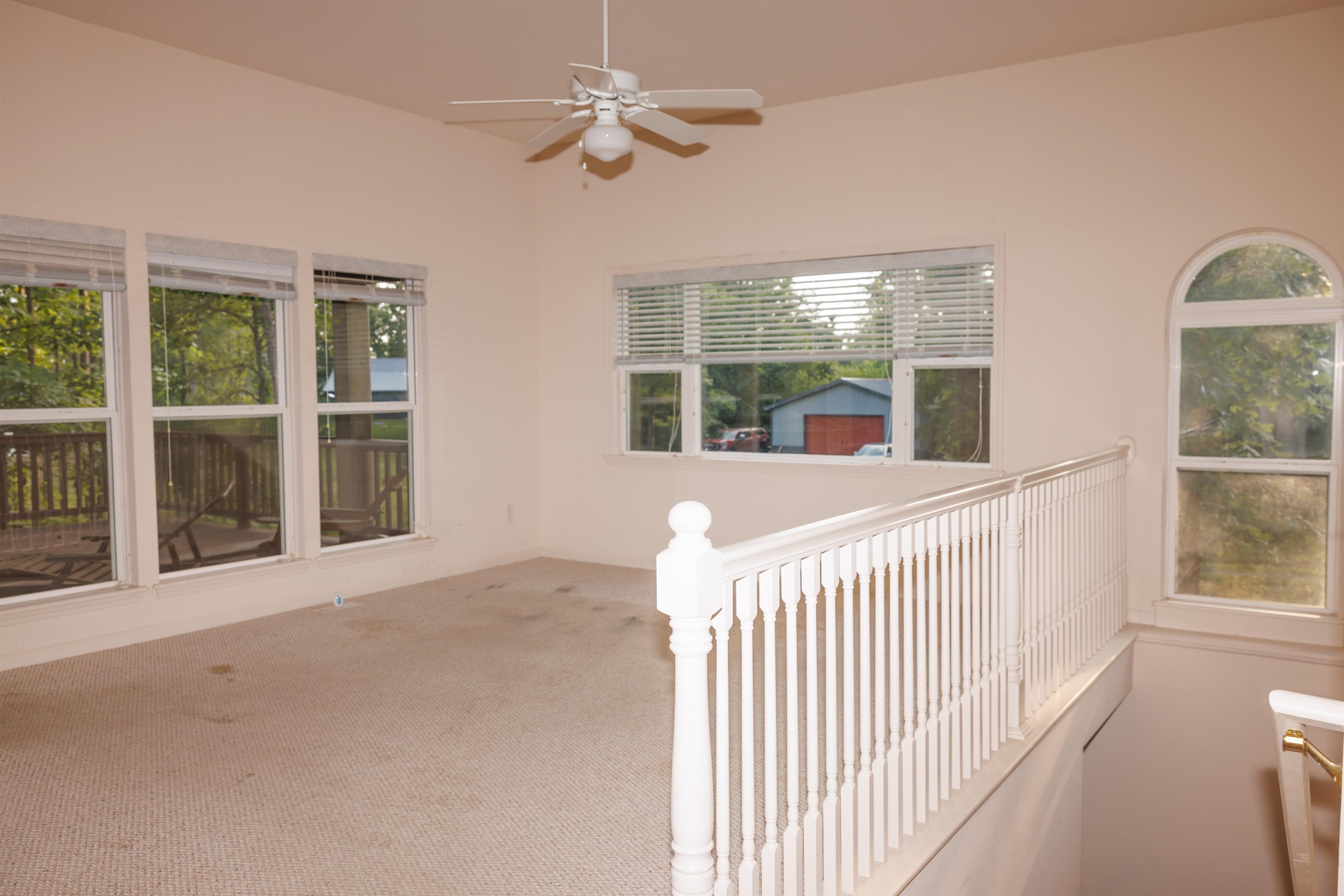 4779 Cusenza Drive photo 11