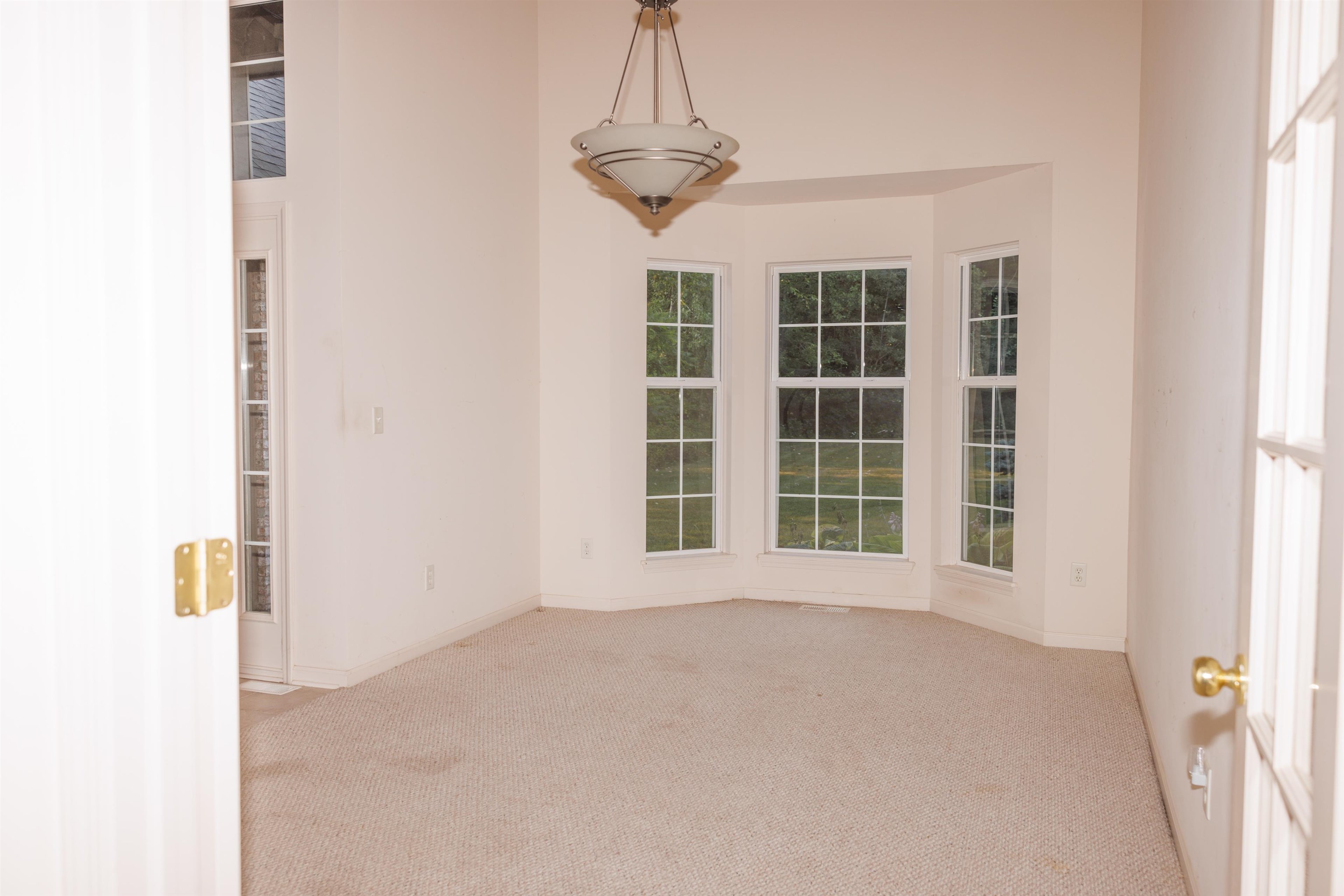 4779 Cusenza Drive photo 12