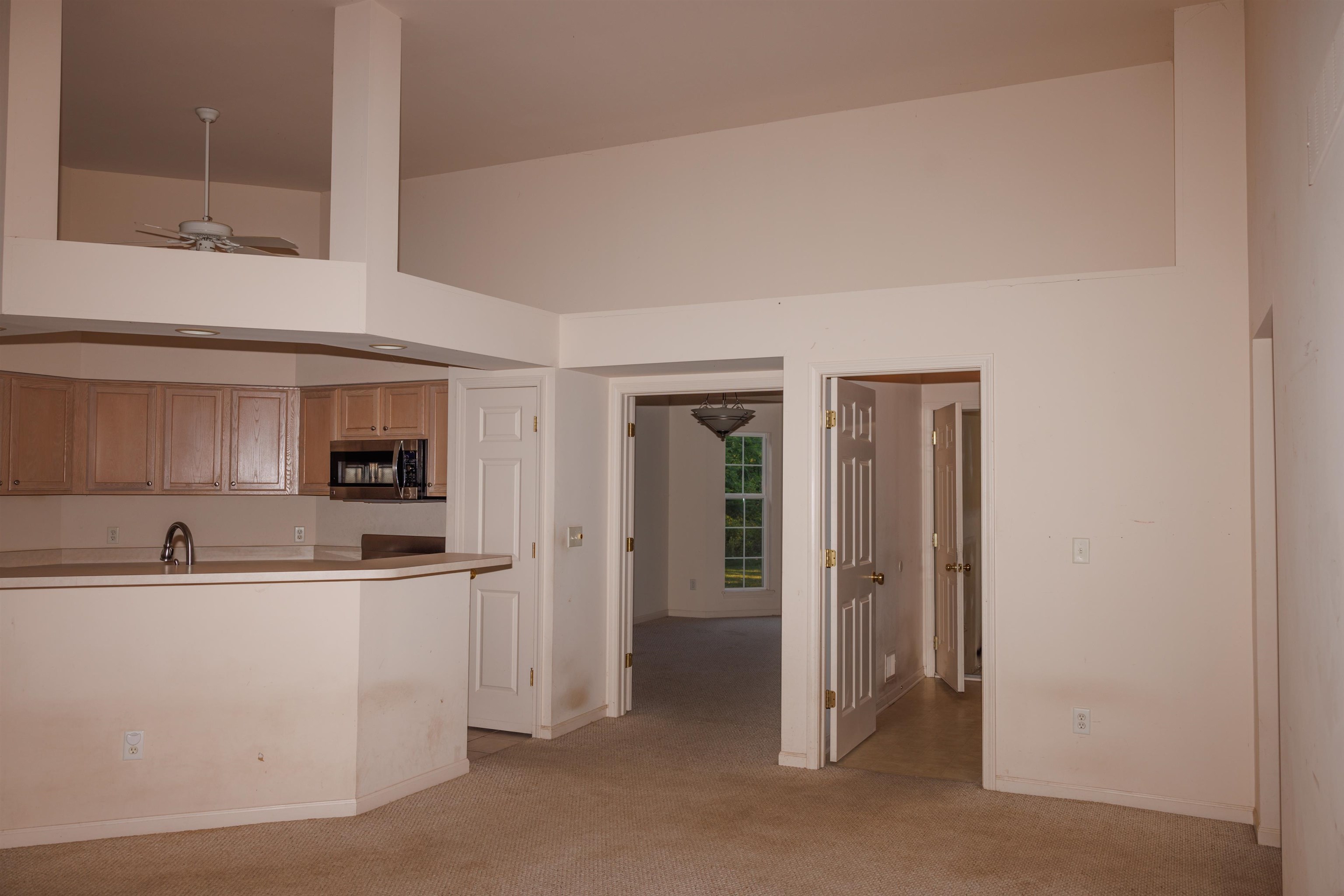 4779 Cusenza Drive photo 9