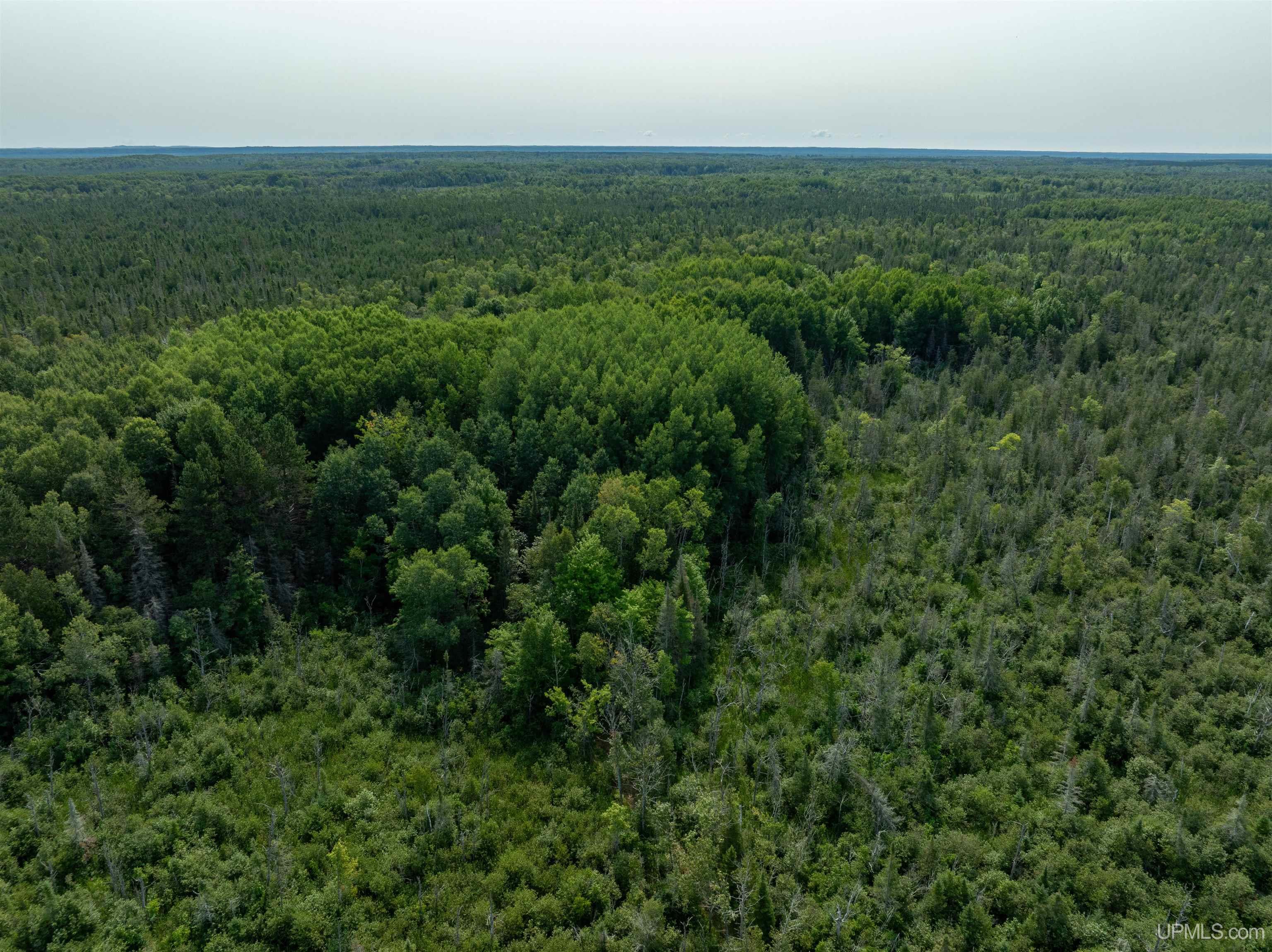 2nd image of Tbd Us Hwy 41 Hwy, Rapid River, MI 49878 | MLS# 50218783