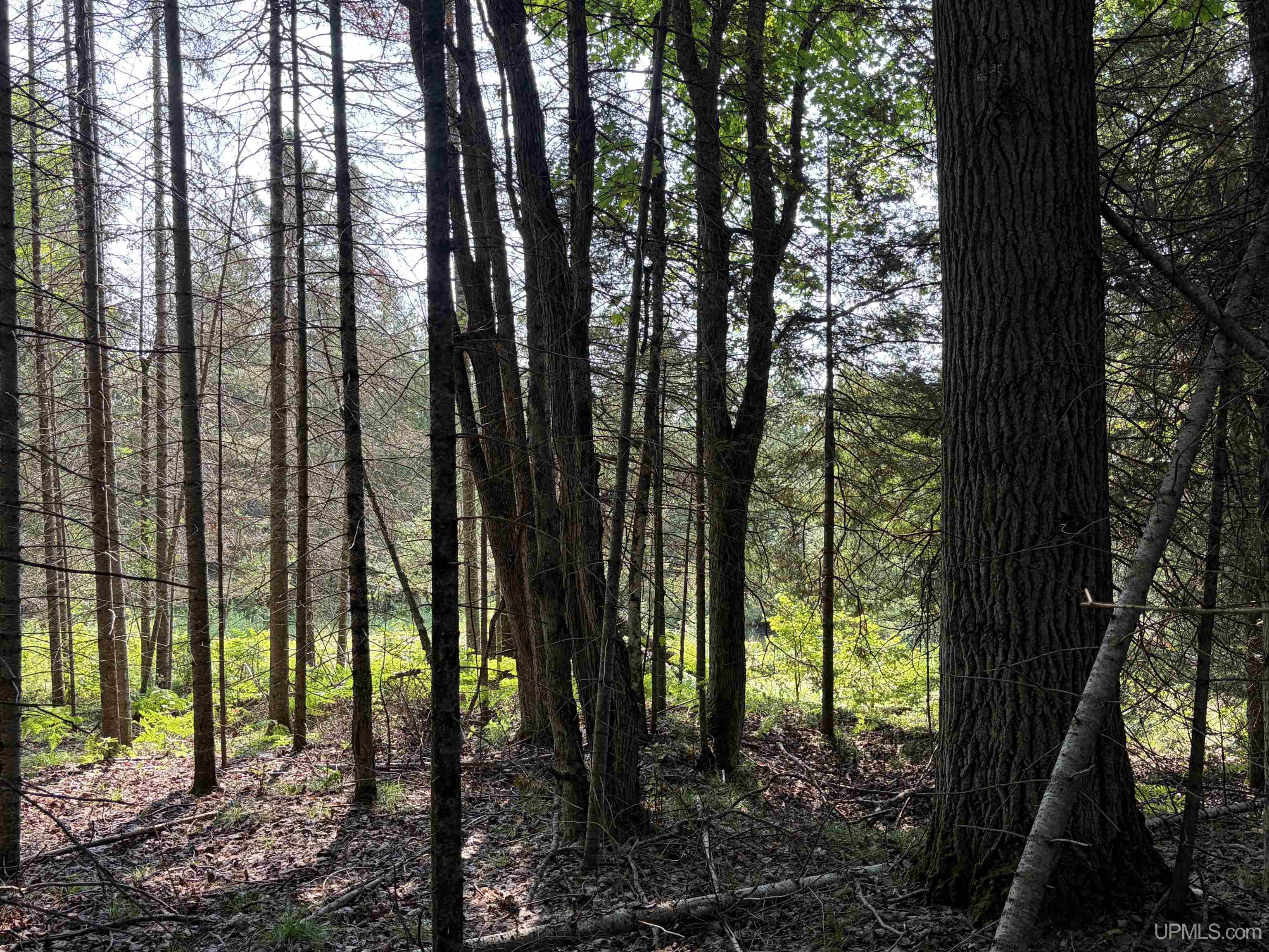 36th image of Tbd Us Hwy 41 Hwy, Rapid River, MI 49878 | MLS# 50218783