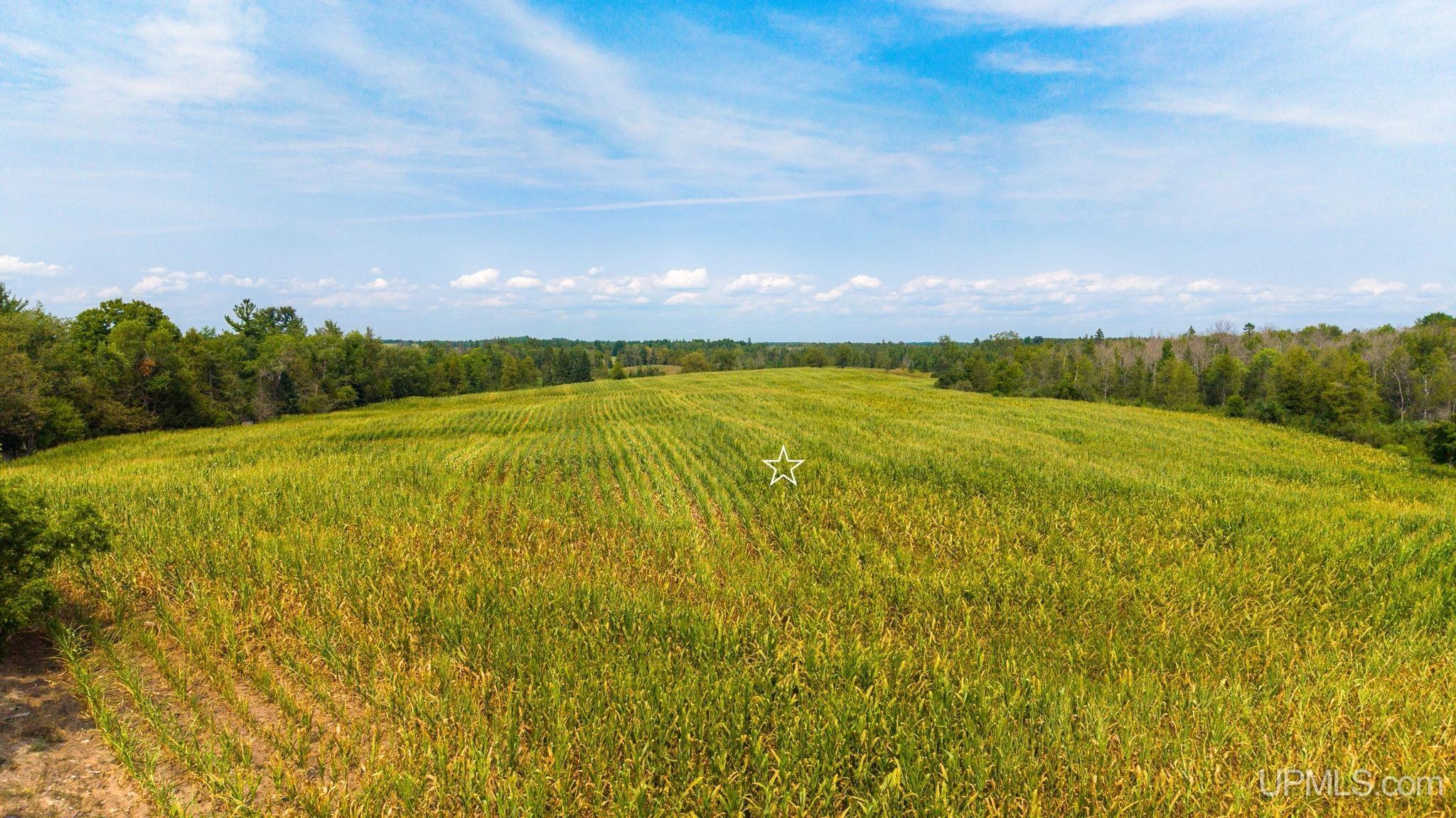 26th image of County Road 358, Daggett, MI 49821 | MLS# 50218838