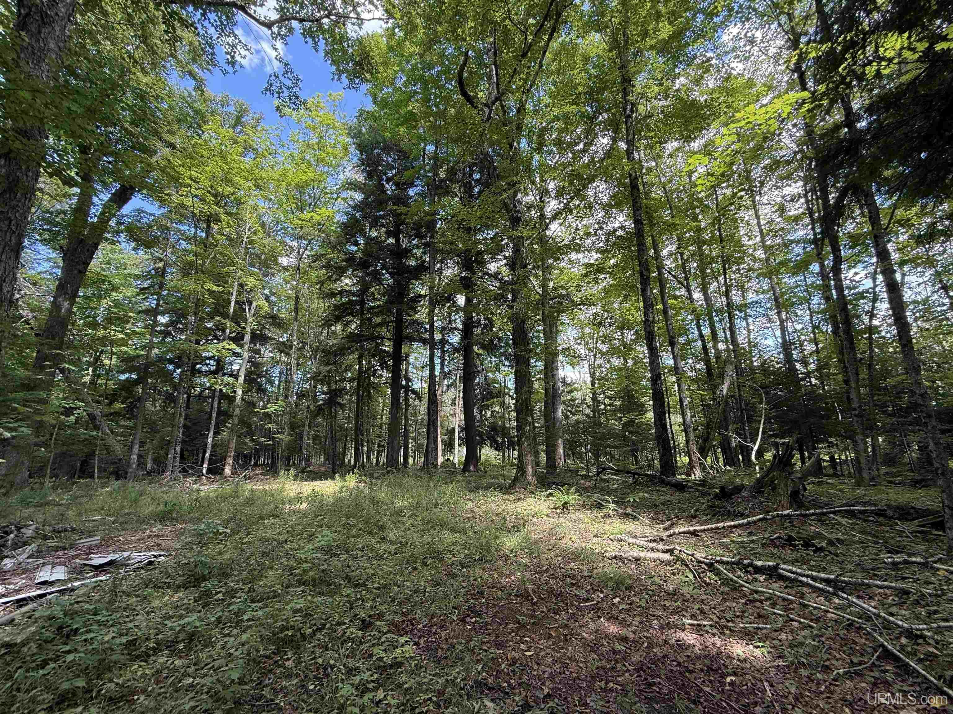 2nd image of 3814 Acres Us 2 Hwy, Gulliver, MI 49840 | MLS# 50218843
