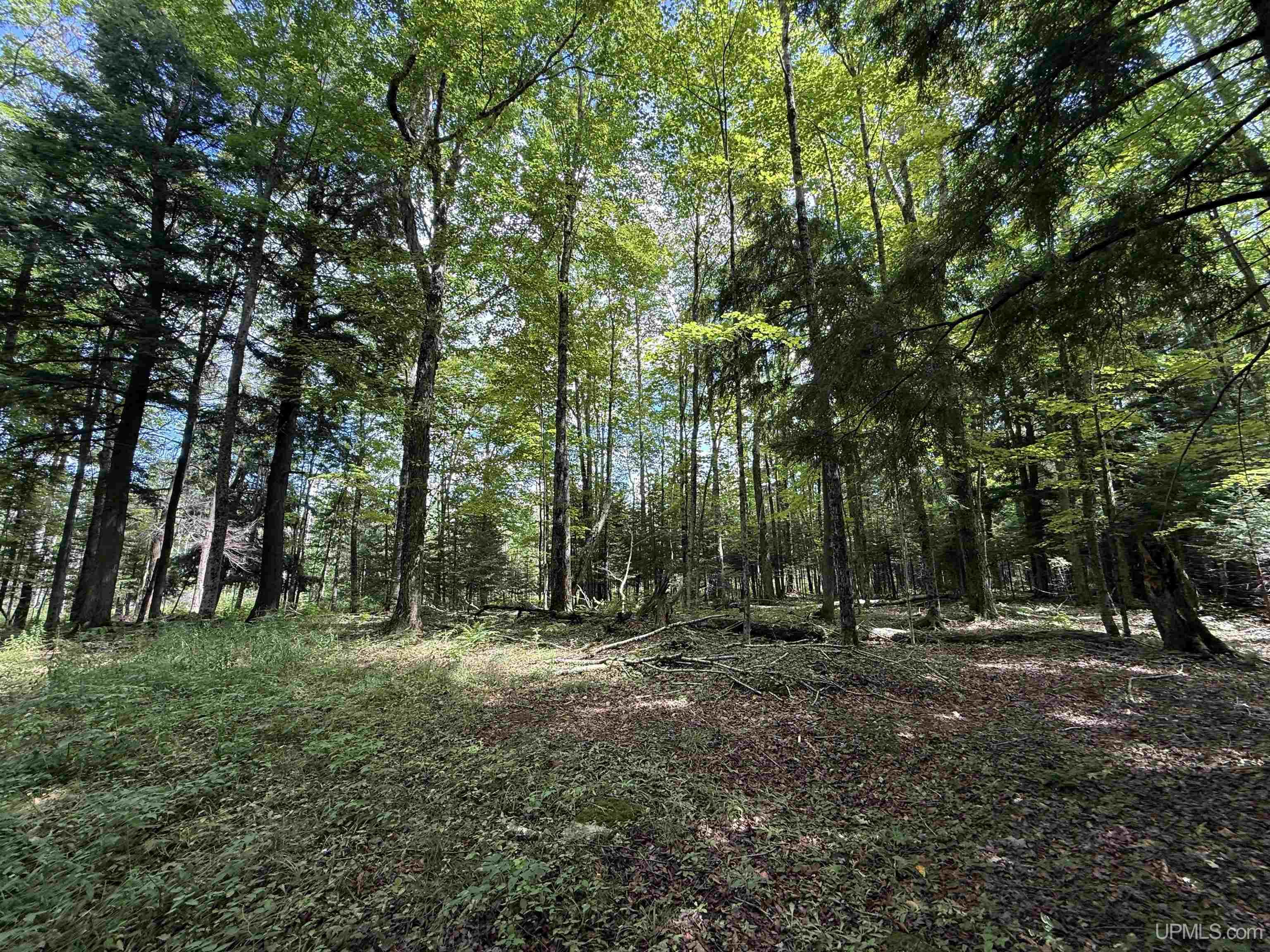 3rd image of 3814 Acres Us 2 Hwy, Gulliver, MI 49840 | MLS# 50218843