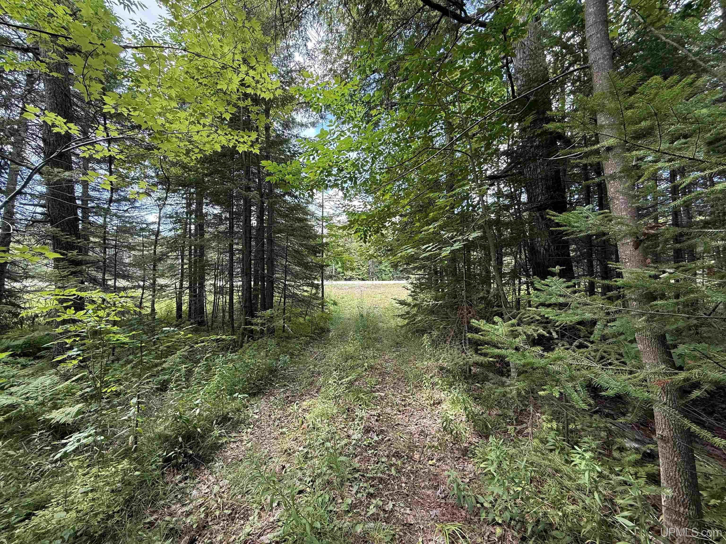 4th image of 3814 Acres Us 2 Hwy, Gulliver, MI 49840 | MLS# 50218843
