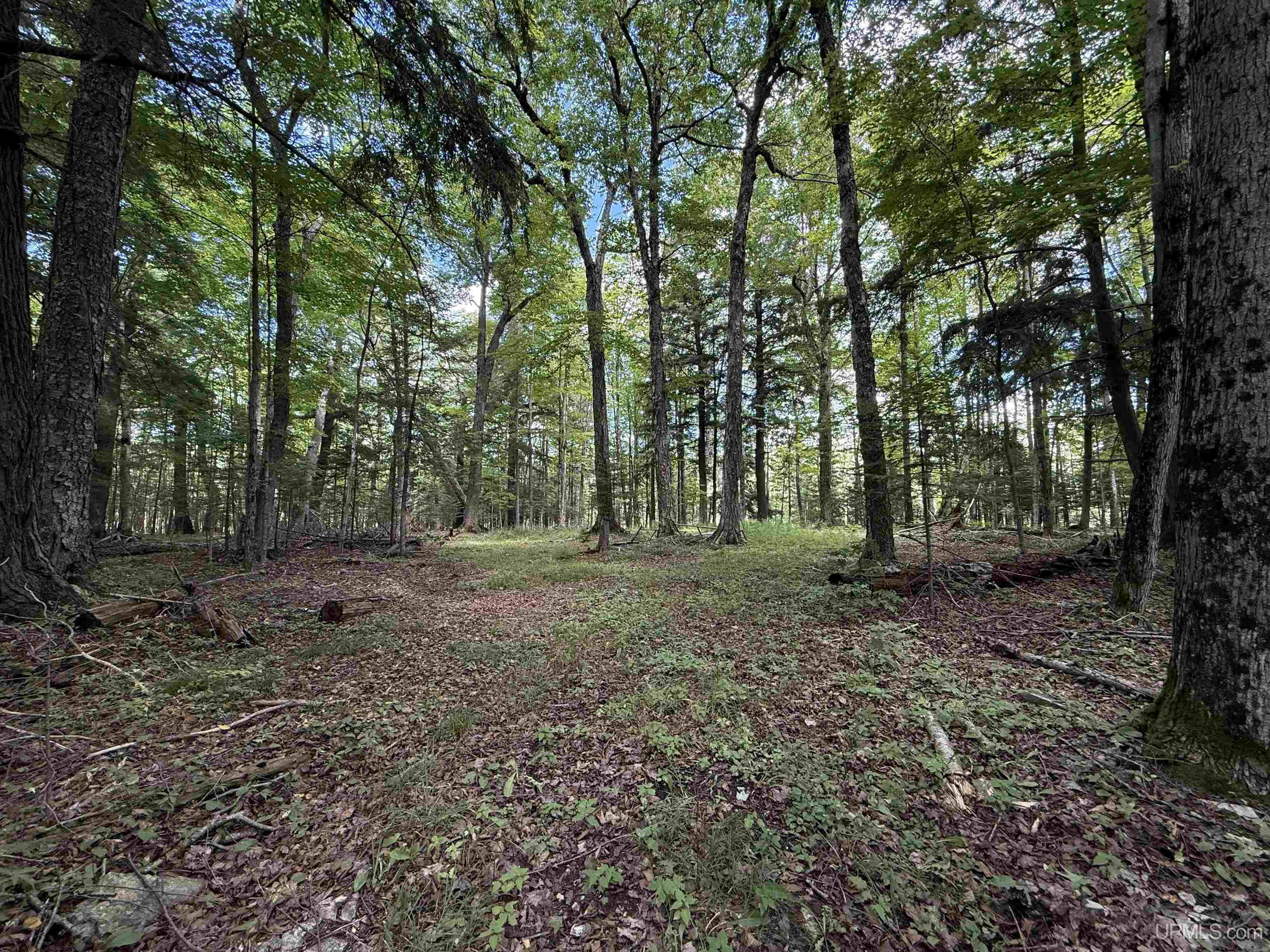 5th image of 3814 Acres Us 2 Hwy, Gulliver, MI 49840 | MLS# 50218843