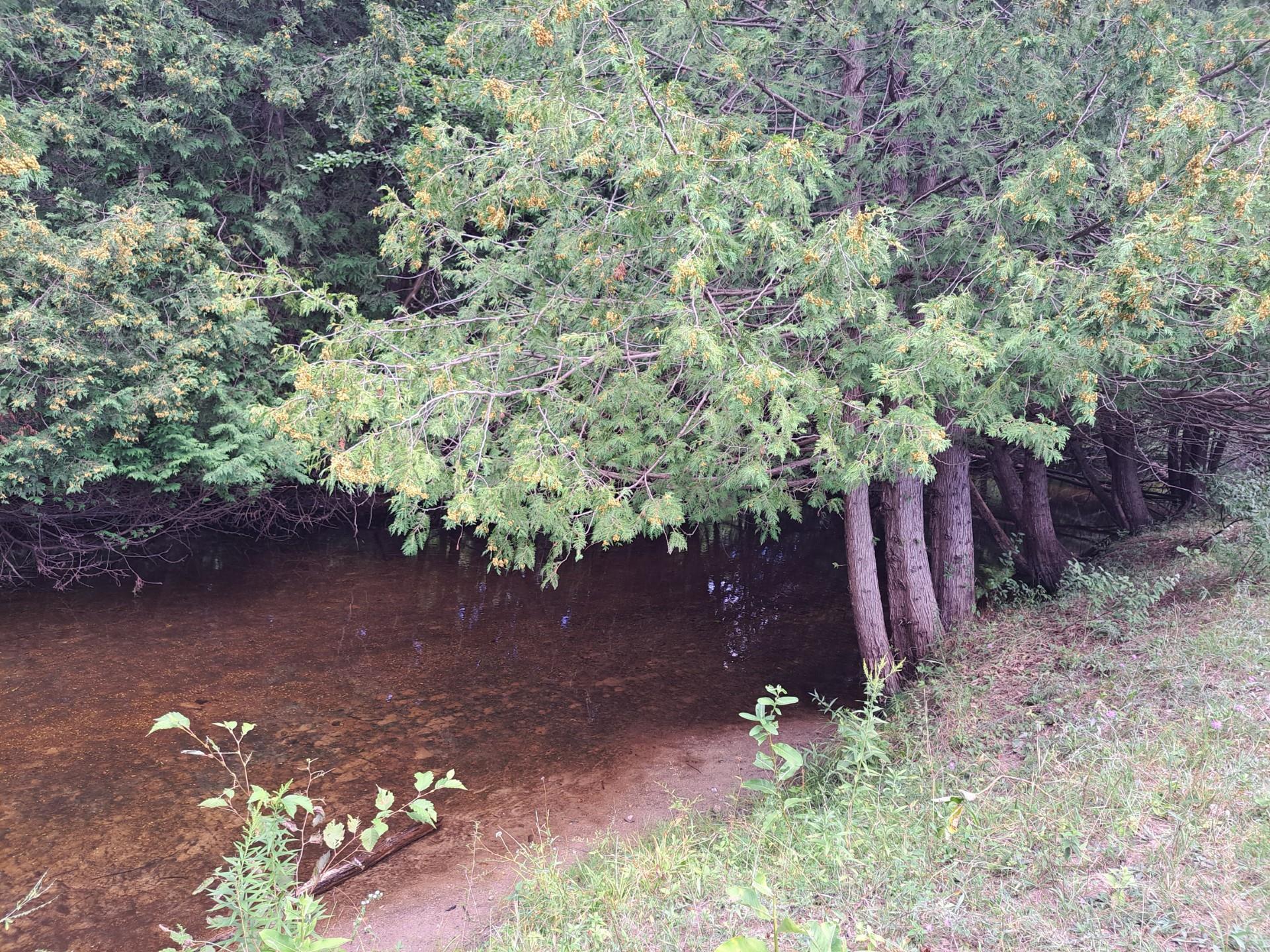 19th image of 401 Mill St, Farwell, MI 48622 | MLS# 50218934