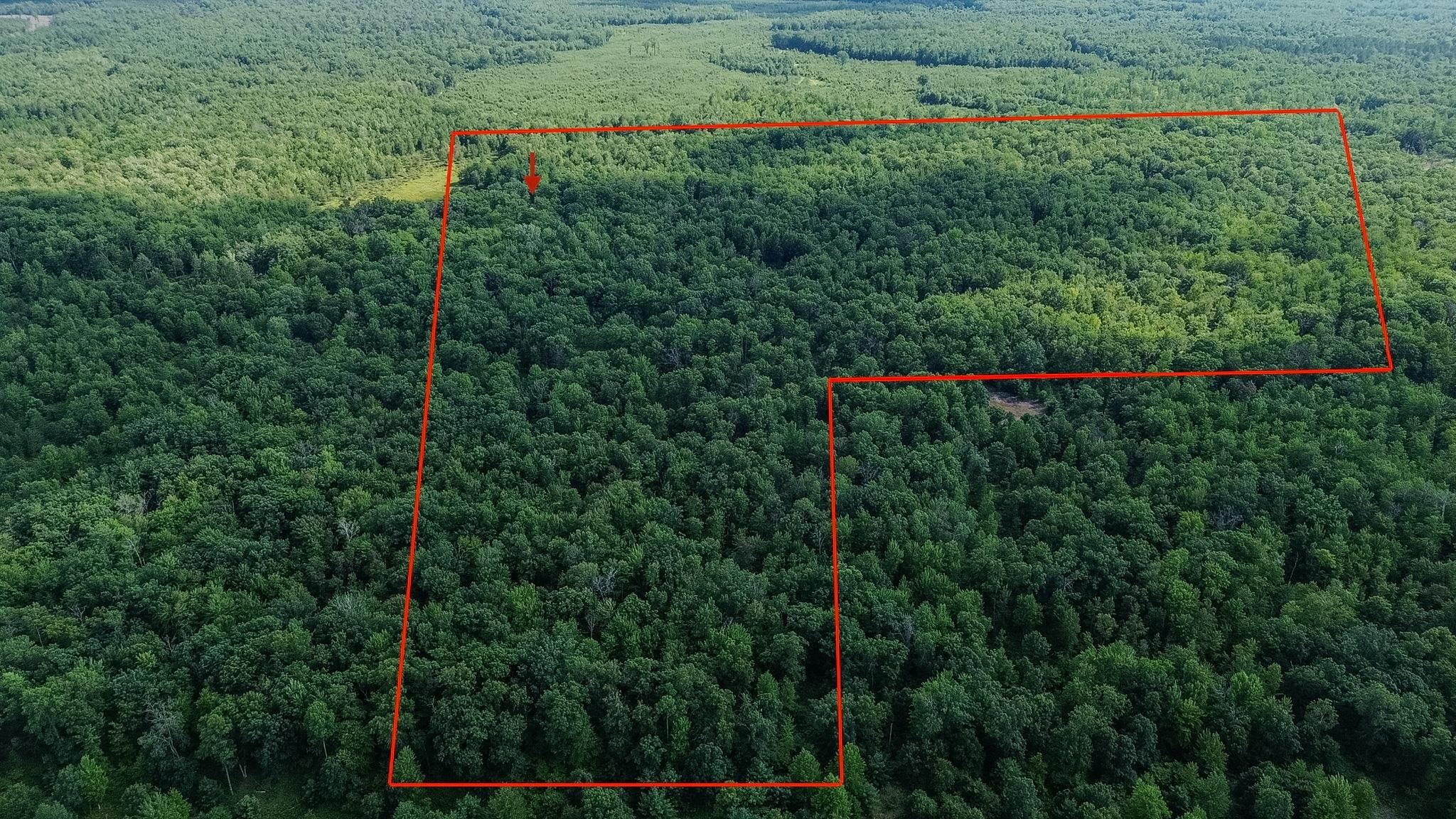 1st image of 00 Center Fireline Trail Trail, Grim Township Gladwin, MI 48612 | MLS# 5050218951