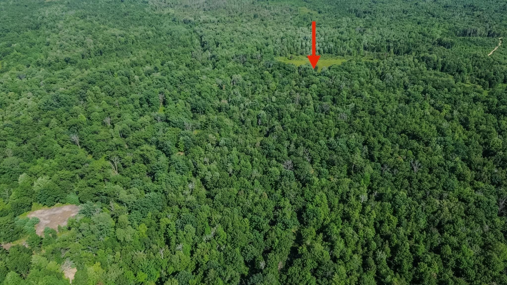 2nd image of 00 Center Fireline Trail Trail, Grim Township Gladwin, MI 48612 | MLS# 5050218951