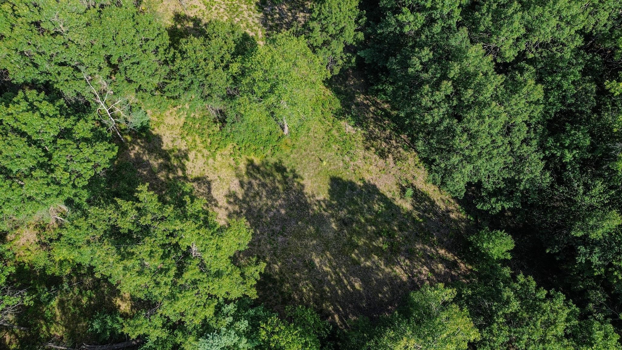 25th image of 00 Center Fireline Trail Trail, Grim Township Gladwin, MI 48612 | MLS# 5050218951