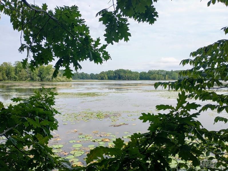 1st image of Unit 11 Deer Run, Gladwin, MI 48624 | MLS# 50218953
