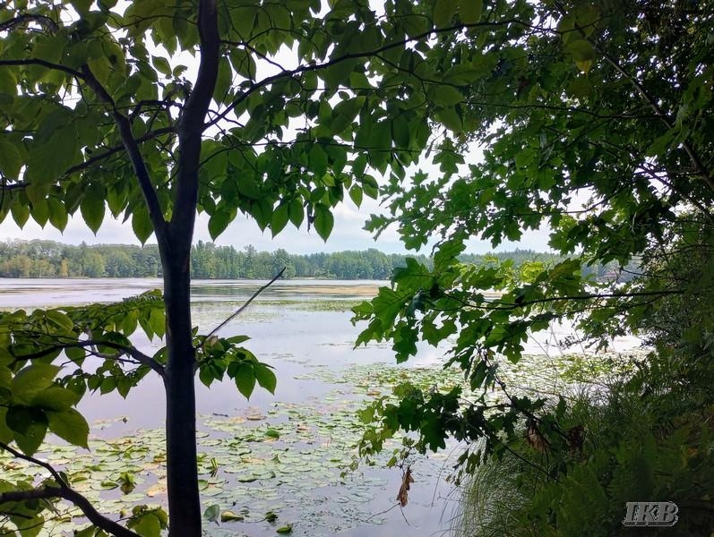 3rd image of Unit 11 Deer Run, Gladwin, MI 48624 | MLS# 50218953