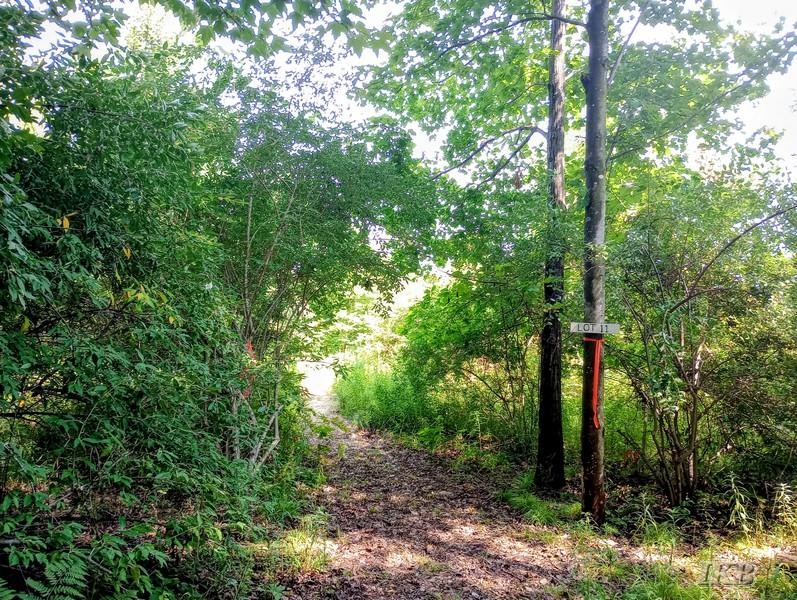 5th image of Unit 11 Deer Run, Gladwin, MI 48624 | MLS# 50218953