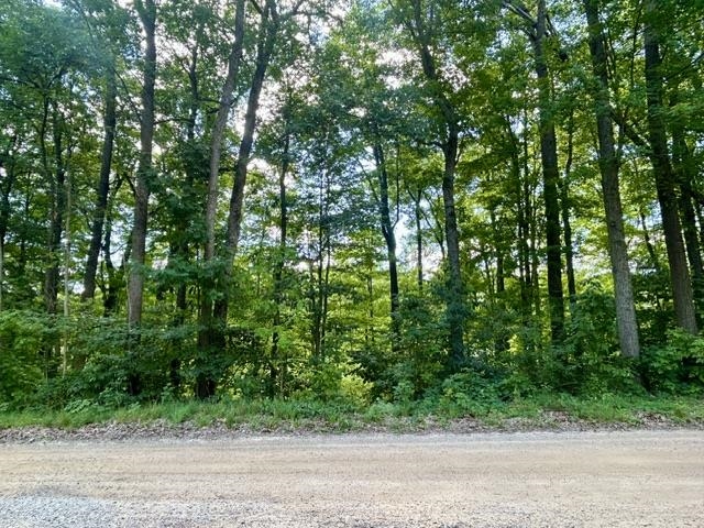 28th image of 5069 Ruby Dr, Gladwin, MI 48624 | MLS# 50219012
