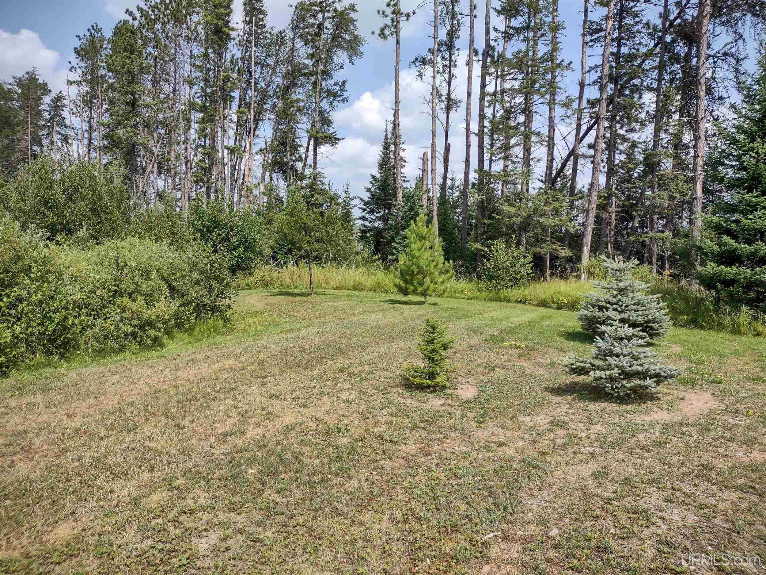 Photo 3 of Land for sale at Tbd Eagles Nest Ln, Iron River, MI 49935 | MLS# 50219055 | Listing updated on 2026-09-18