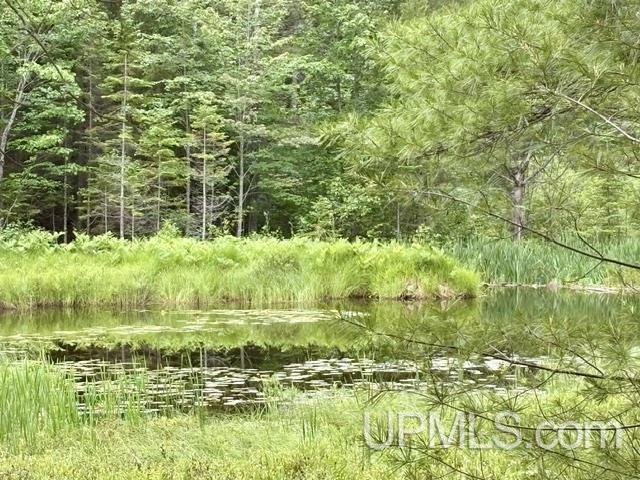2nd image of 9200 Lost Lake Rd, Wetmore, MI 49895 | MLS# 50219076