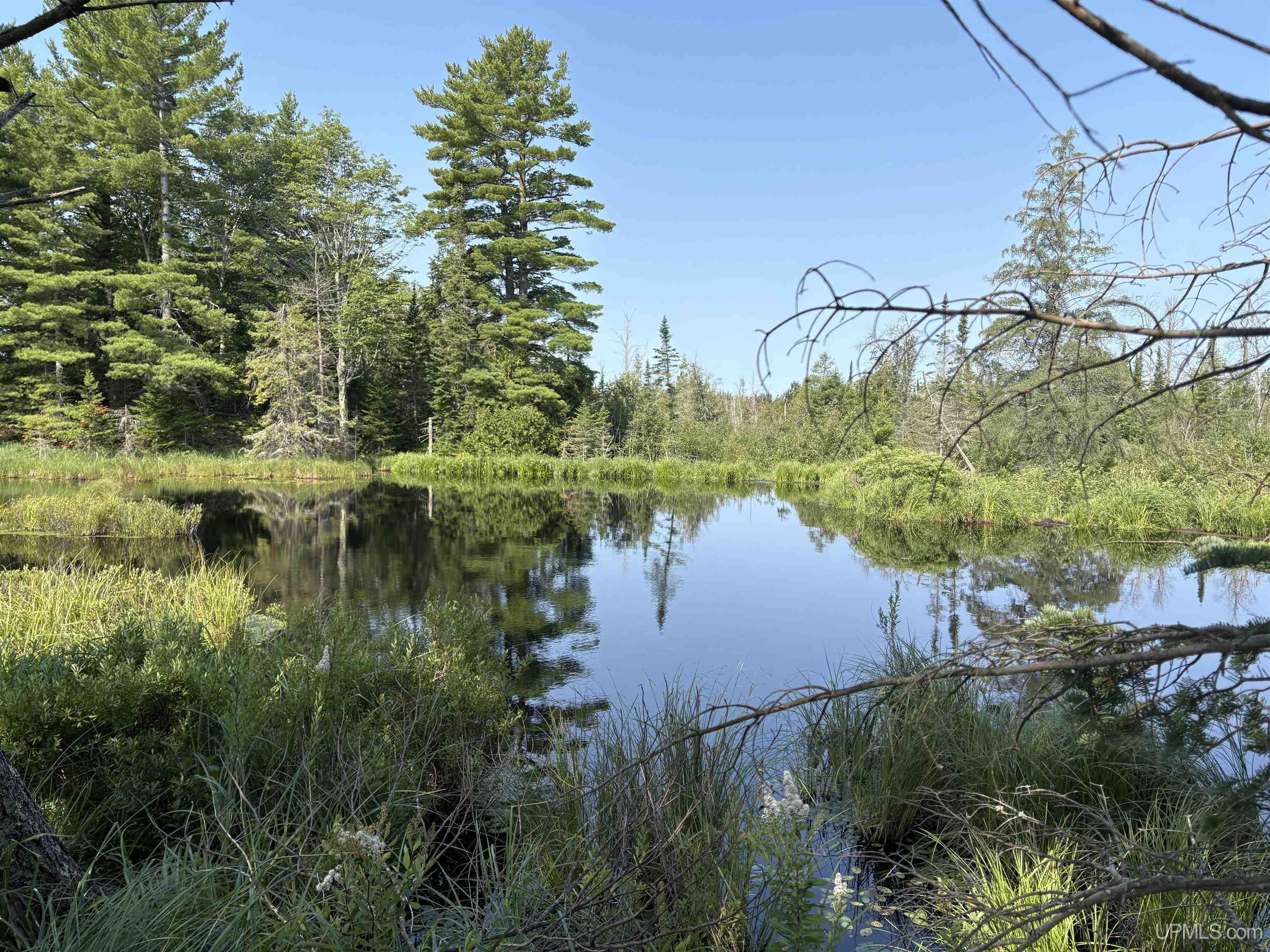 1st image of Pond 80 W Off North Pointe Rd Rd, Deerton, MI 49822 | MLS# 50219101