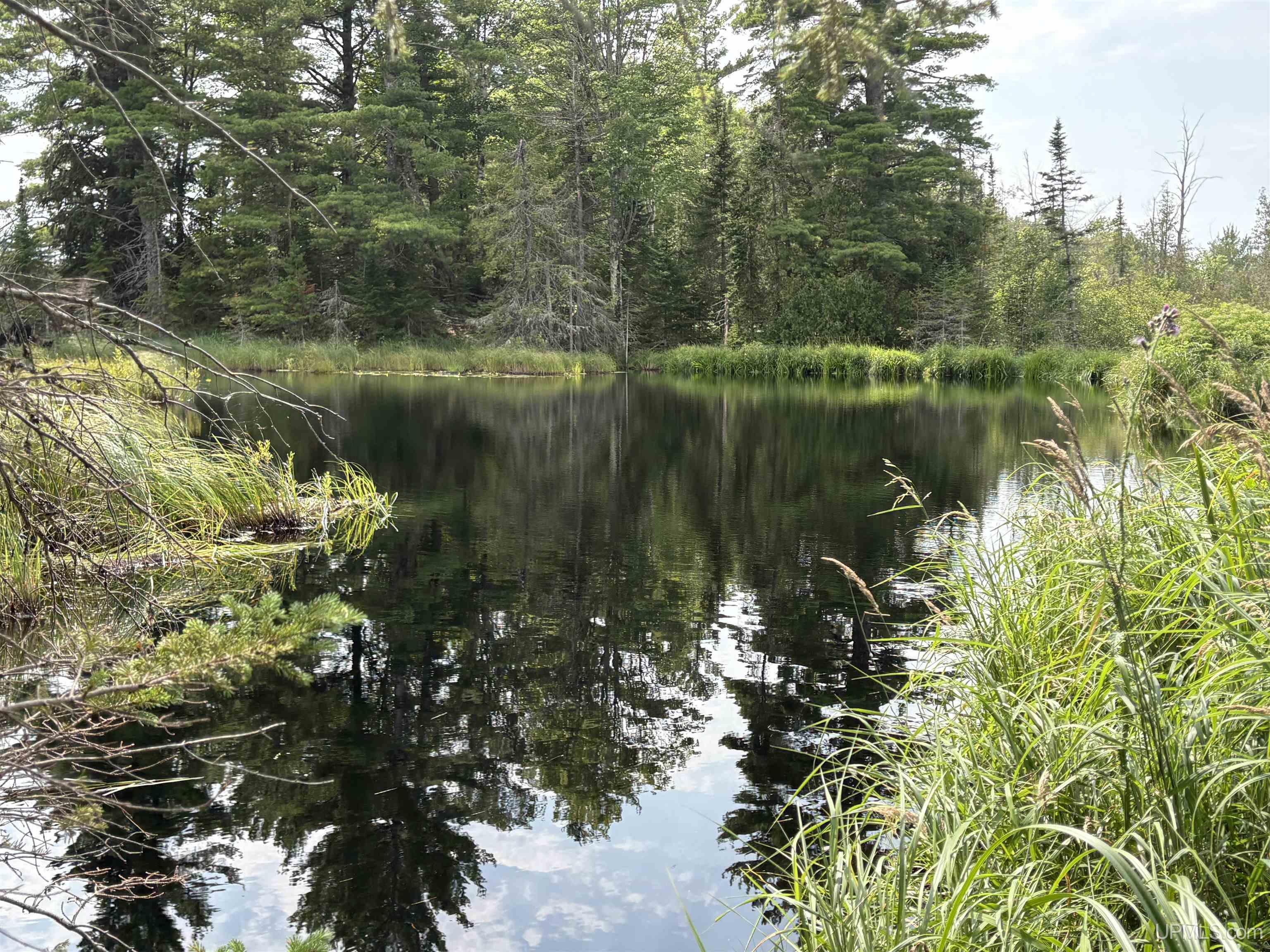 2nd image of Pond 80 W Off North Pointe Rd Rd, Deerton, MI 49822 | MLS# 50219101
