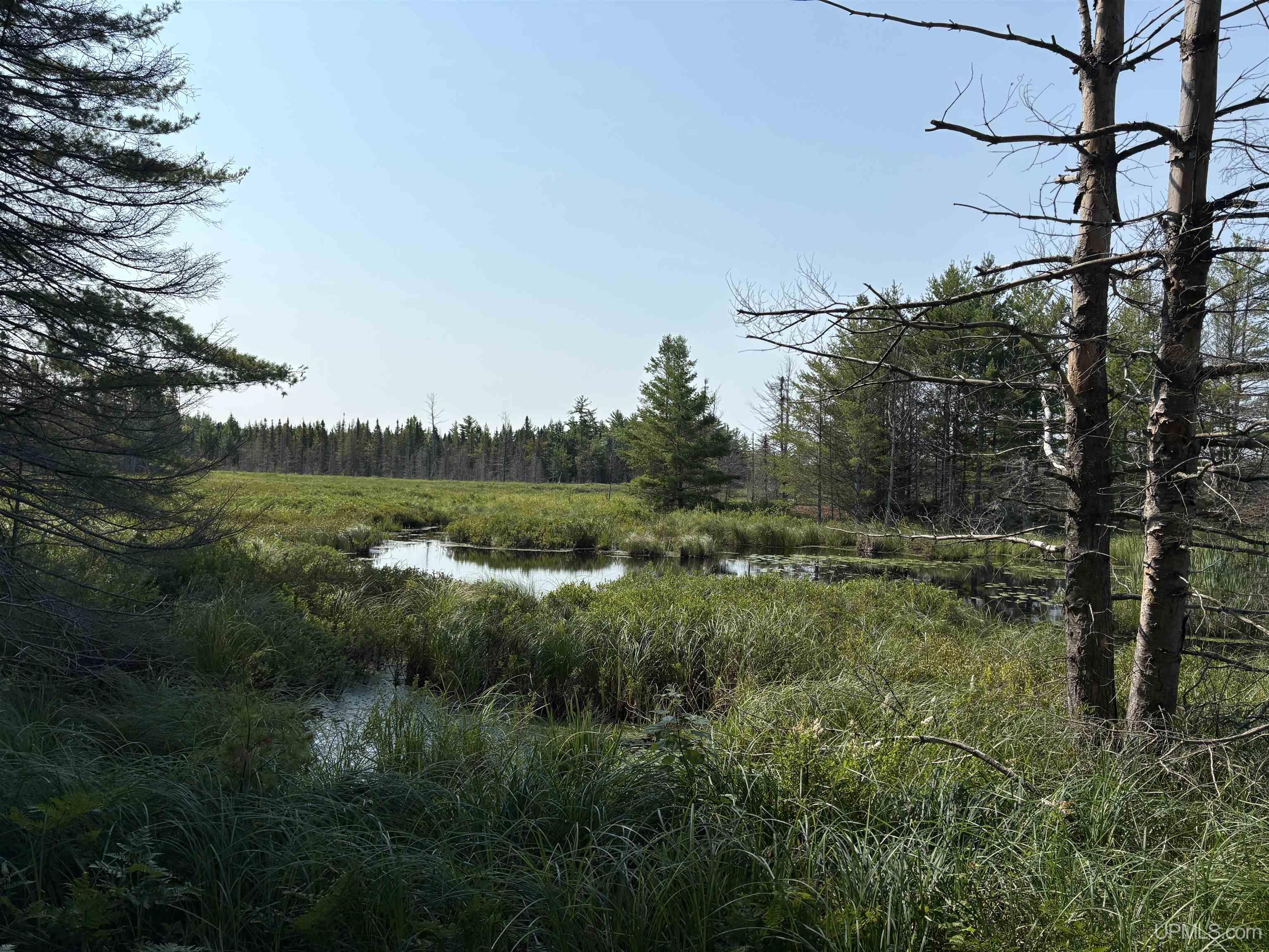 image of Pond 80 W Off North Pointe Rd Rd, Deerton, MI 49822 | MLS# 50219101
