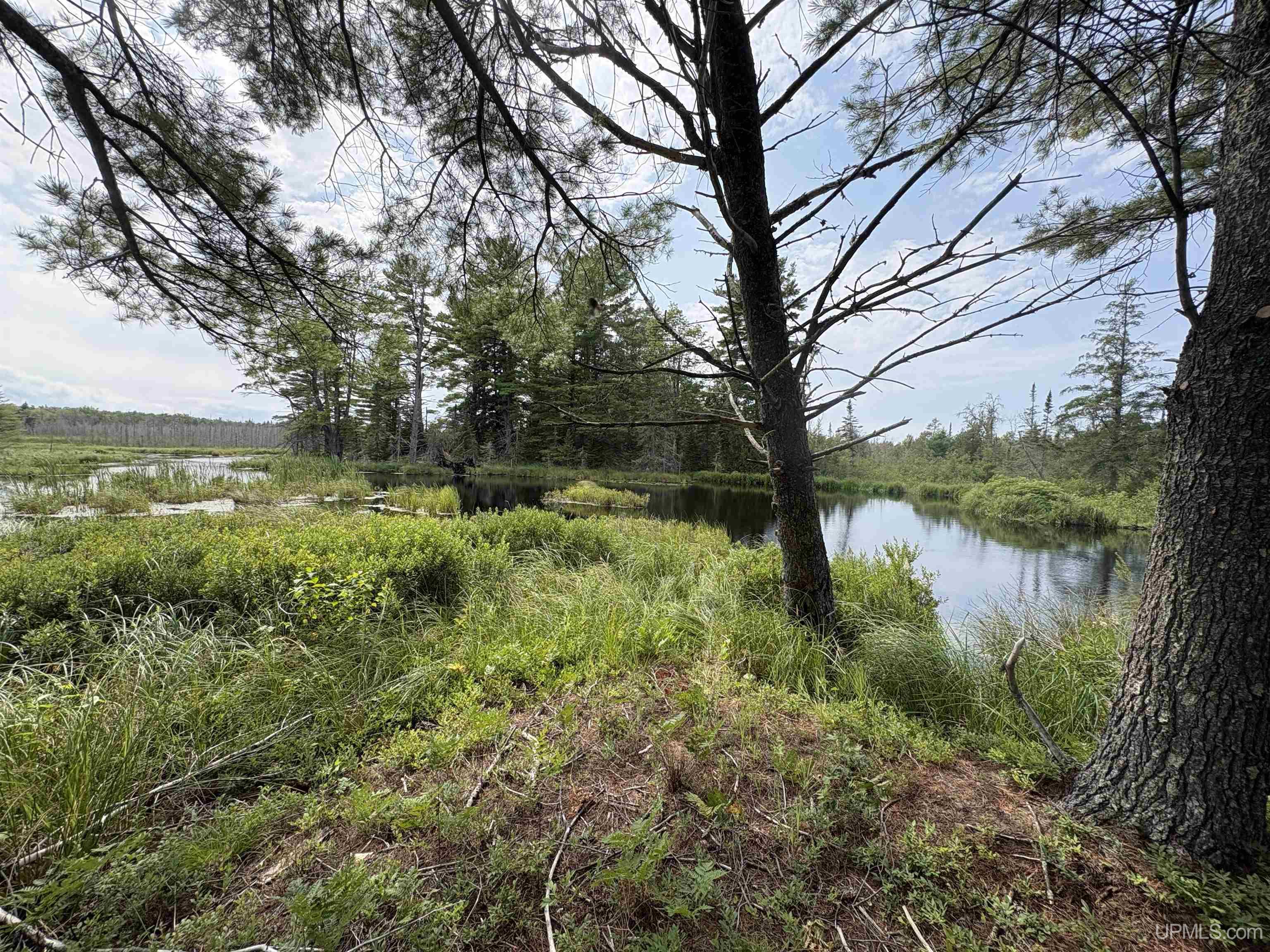 image of Pond 80 W Off North Pointe Rd Rd, Deerton, MI 49822 | MLS# 50219101