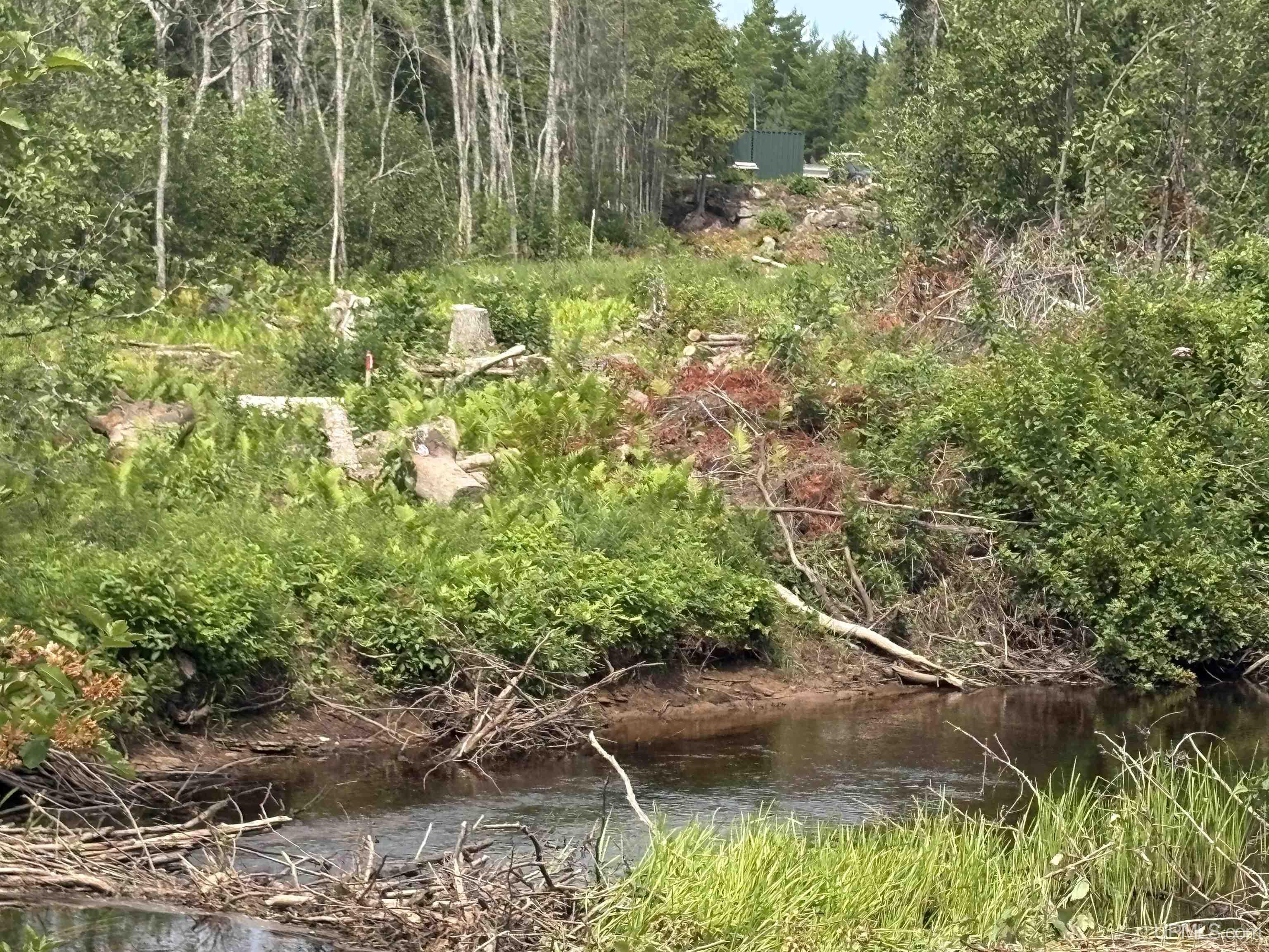 image of Riv 80 E Of North Pointe Rd, Deerton, MI 49822 | MLS# 50219103