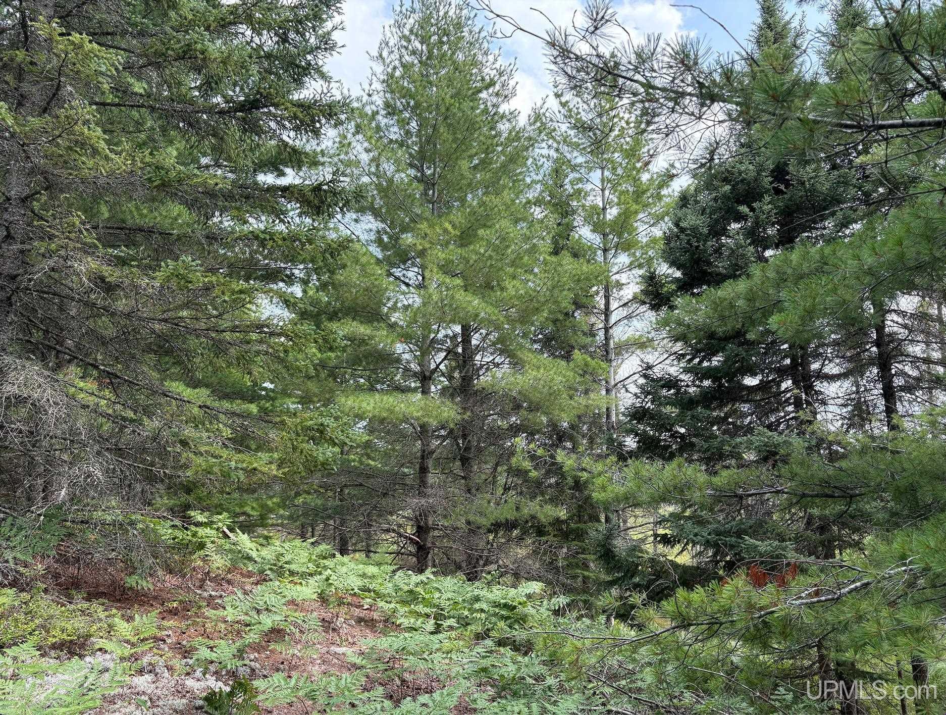image of Riv 80 E Of North Pointe Rd, Deerton, MI 49822 | MLS# 50219103