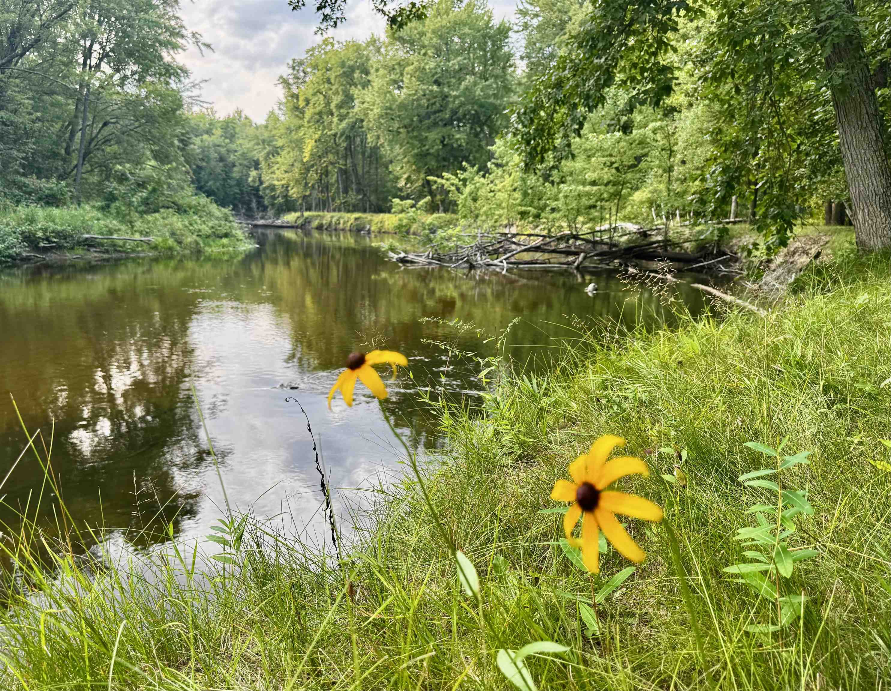 1st image of 9625 Doe Rd, Harrison, MI 48625 | MLS# 50219125